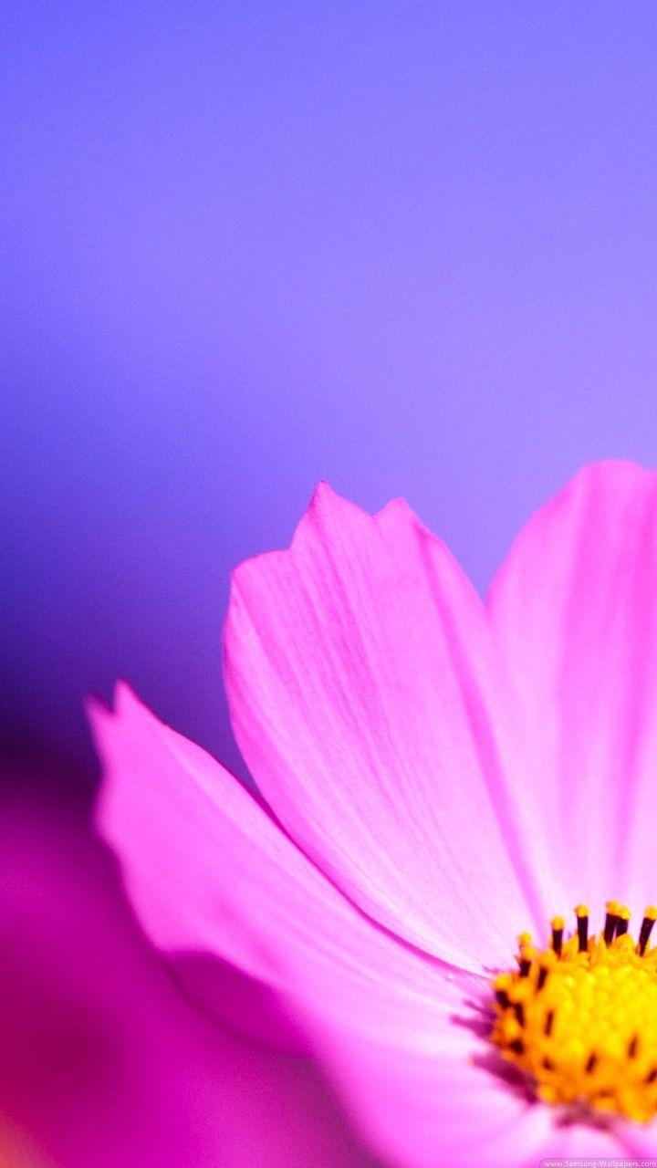 720x1280 Samsung Galaxy S3 Wallpaper #wallpaper. Samsung galaxy