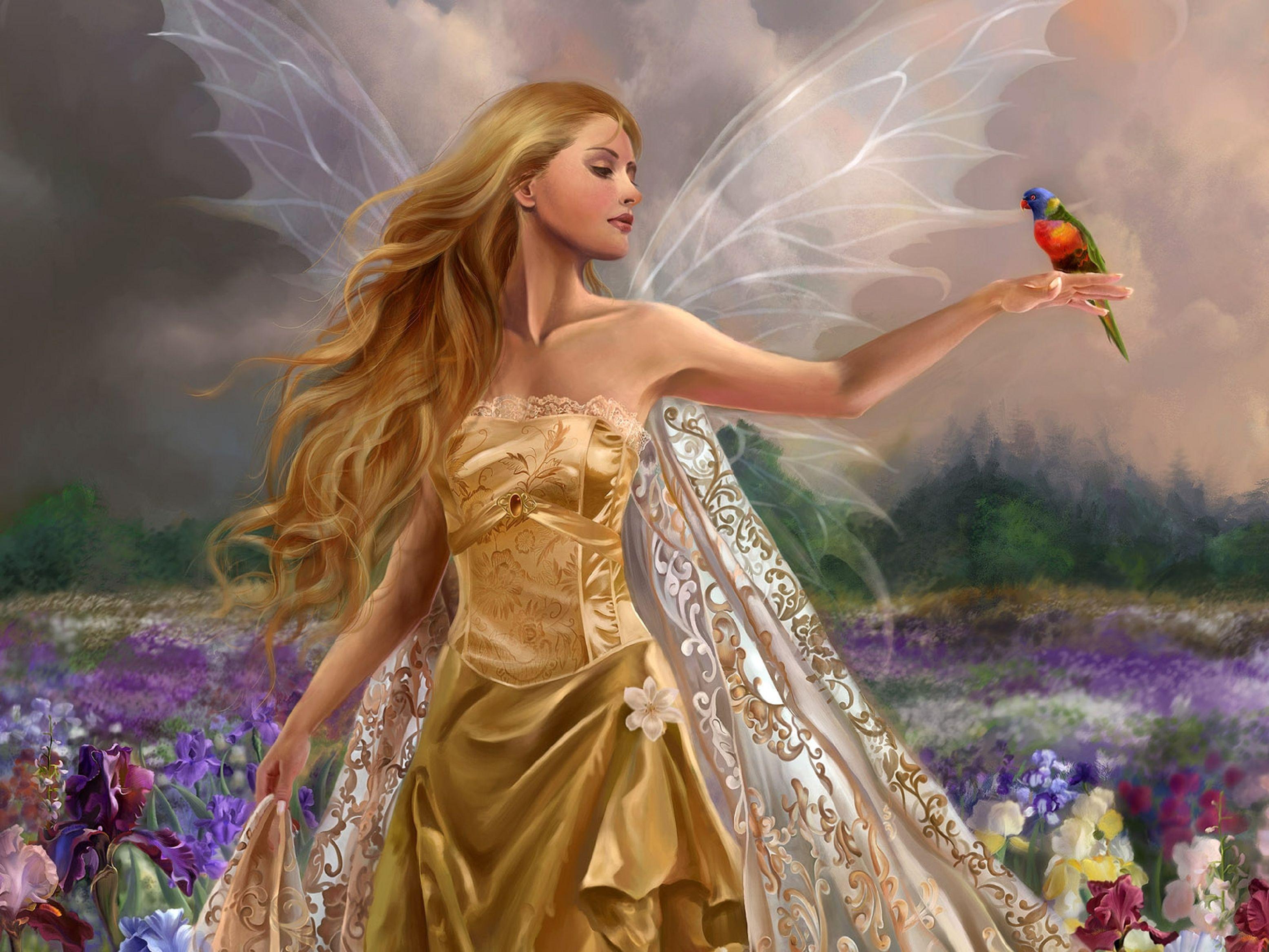 3111x2333 Fairy, Girl, Wings, Flowers, Field, Bir, Hd, desktop, wallpaper, background, free, photo