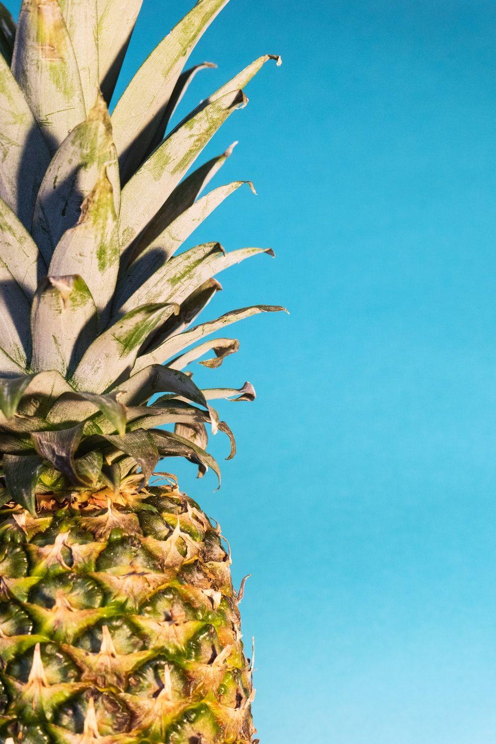 1000x1500 Pineapple Background Image: Download HD Background