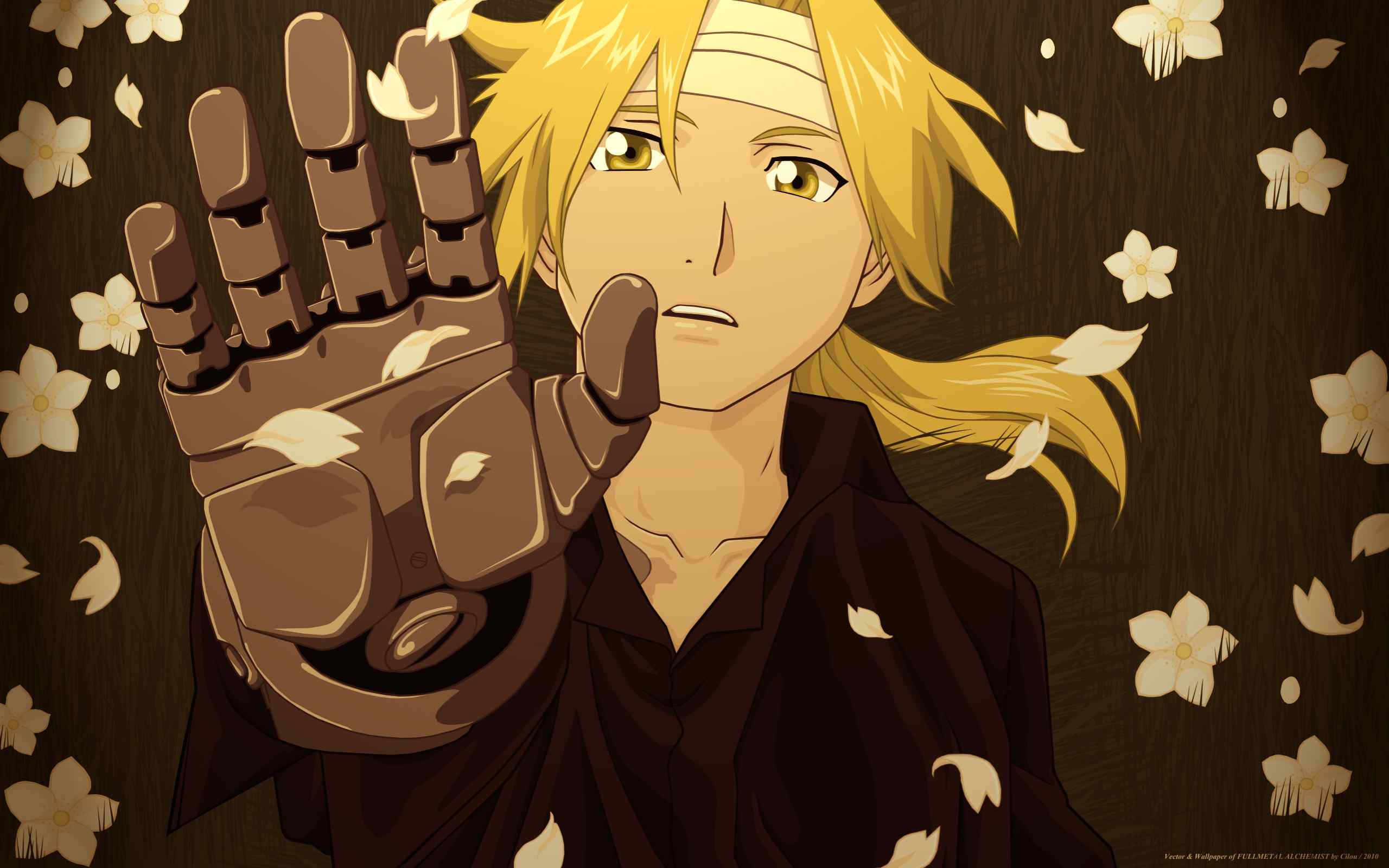 2560x1600 Download Wallpaper Fullmetal Alchemist HD Untuk Desktop/PC