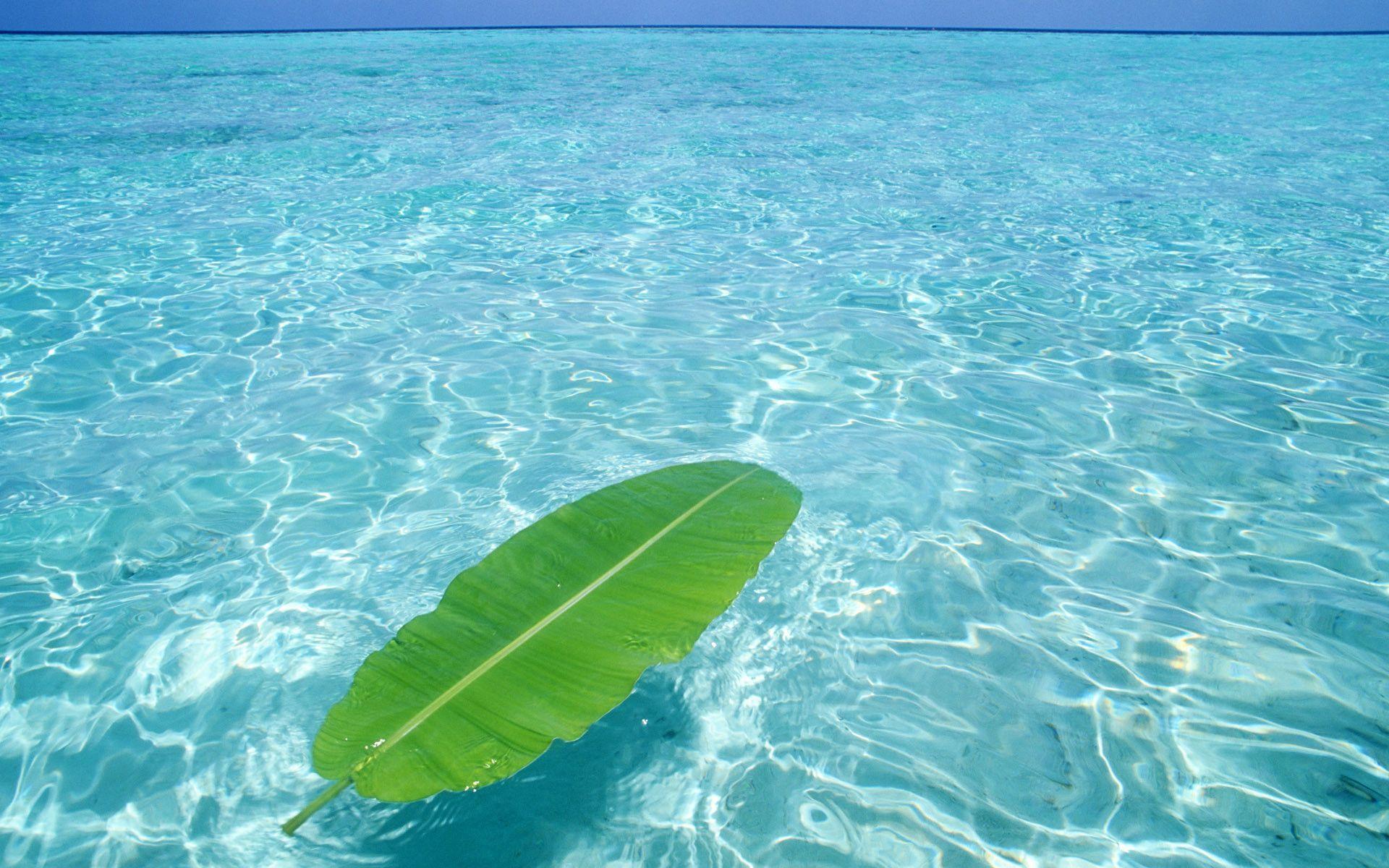 1920x1200 Water Desktop Wallpaper