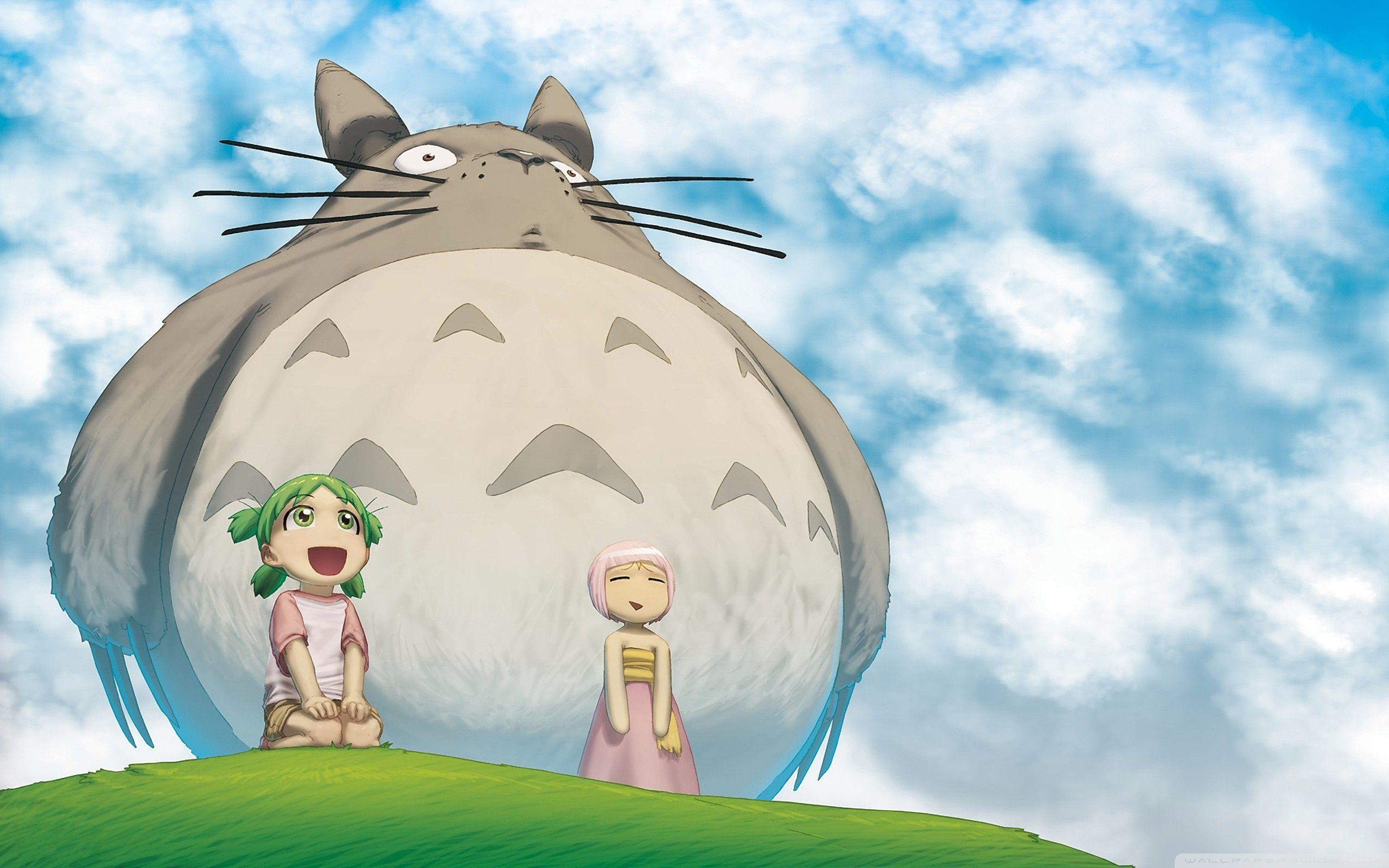 2560x1600 Totoro I ❤ 4K HD Desktop Wallpaper for 4K Ultra HD TV • Tablet