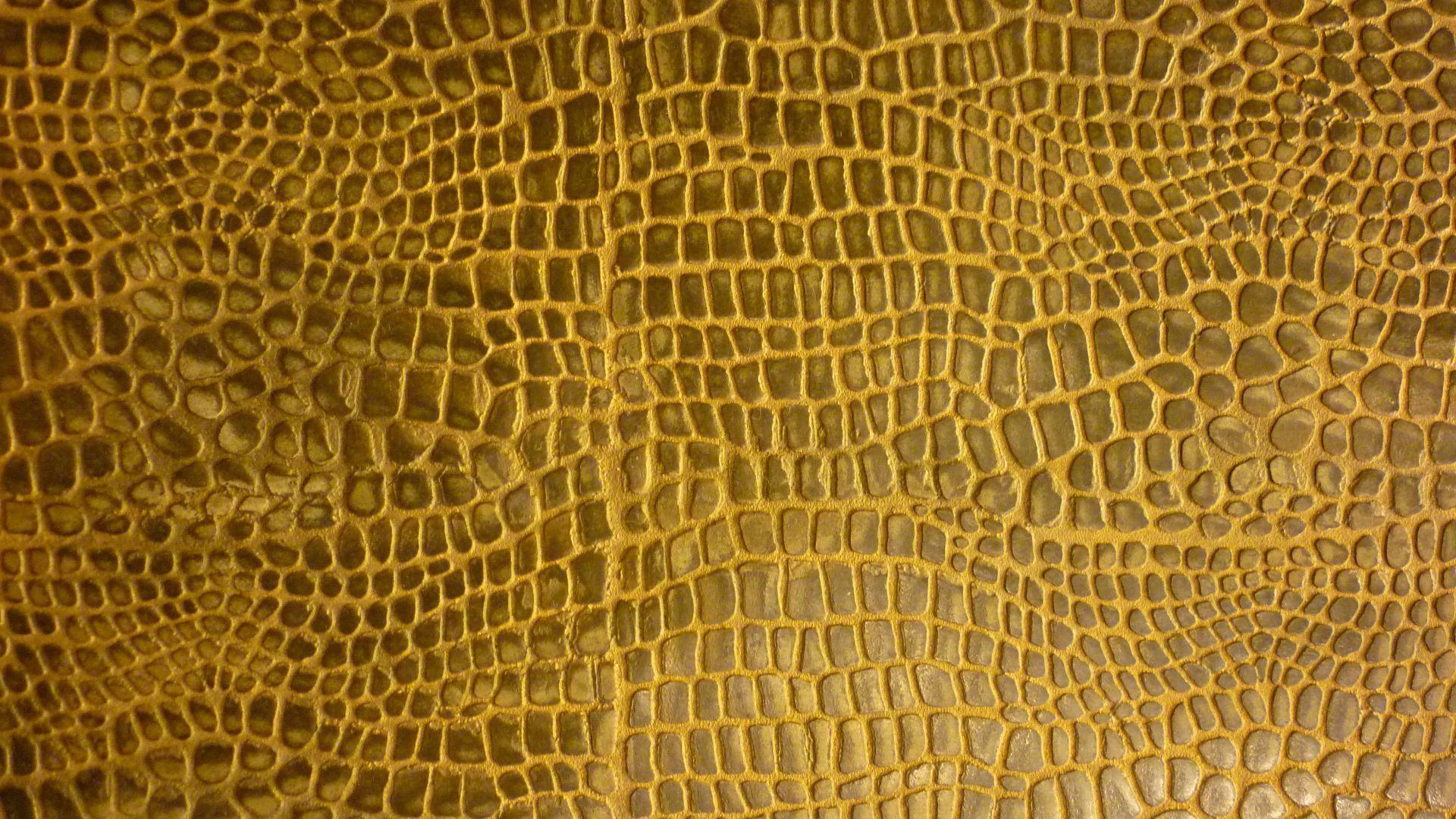 Fine Décor  Python Snake Skin Wallpaper  Snake Print Wallpaper  Snakeskin  Wallpaper