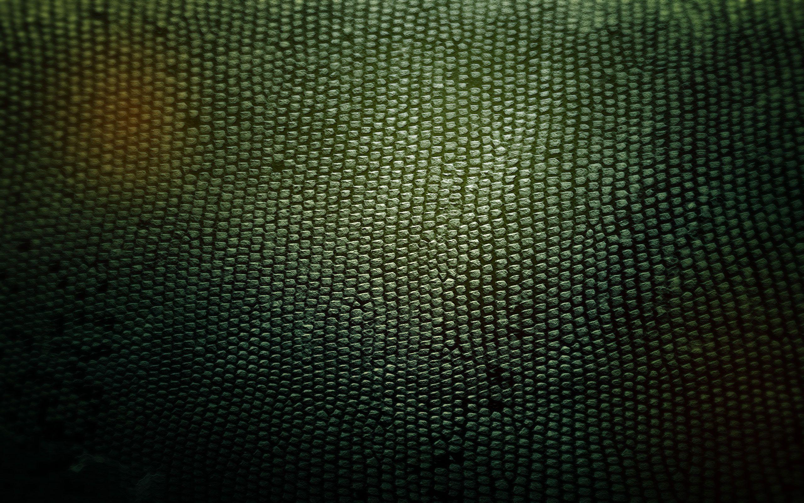 Snake Skin Wallpapers - Top Free Snake Skin Backgrounds - WallpaperAccess