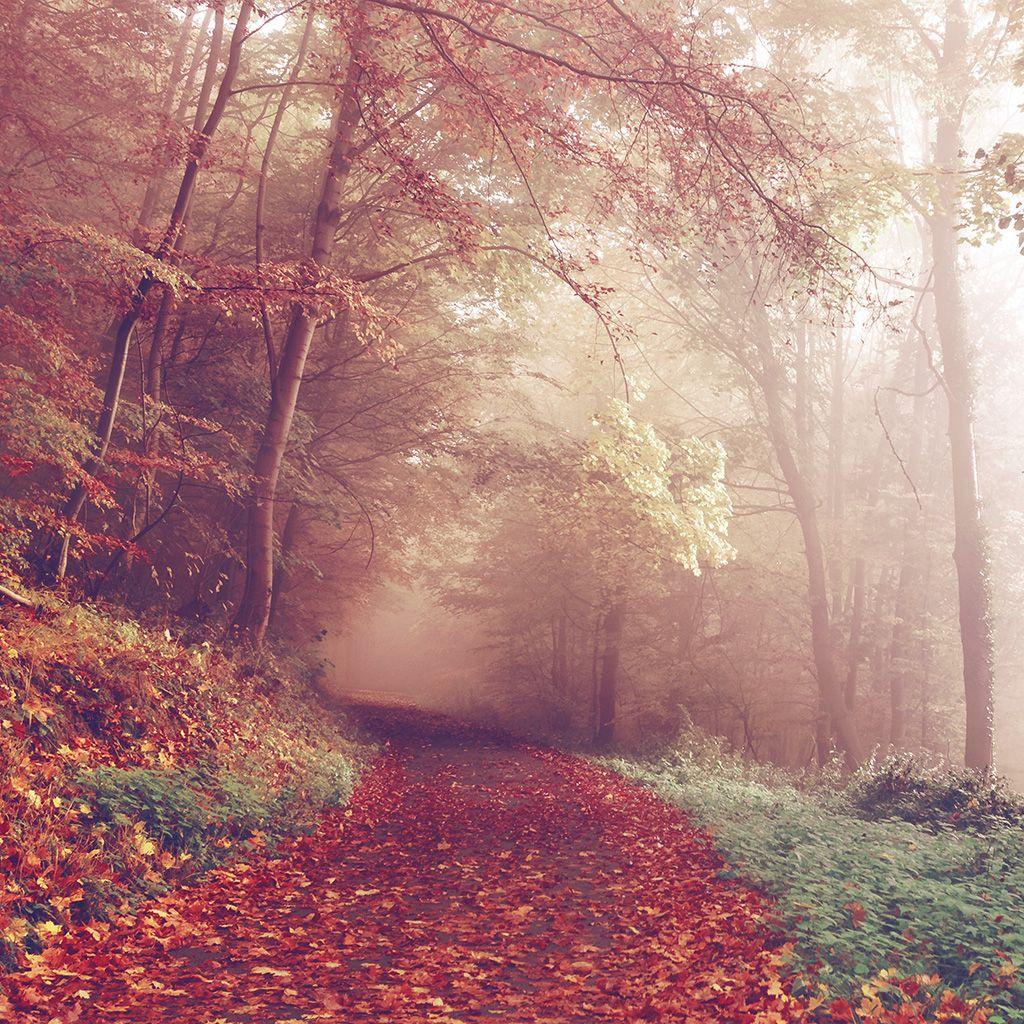 1024x1024 Fall Mountain Road Romantic Red Nature Wallpaper
