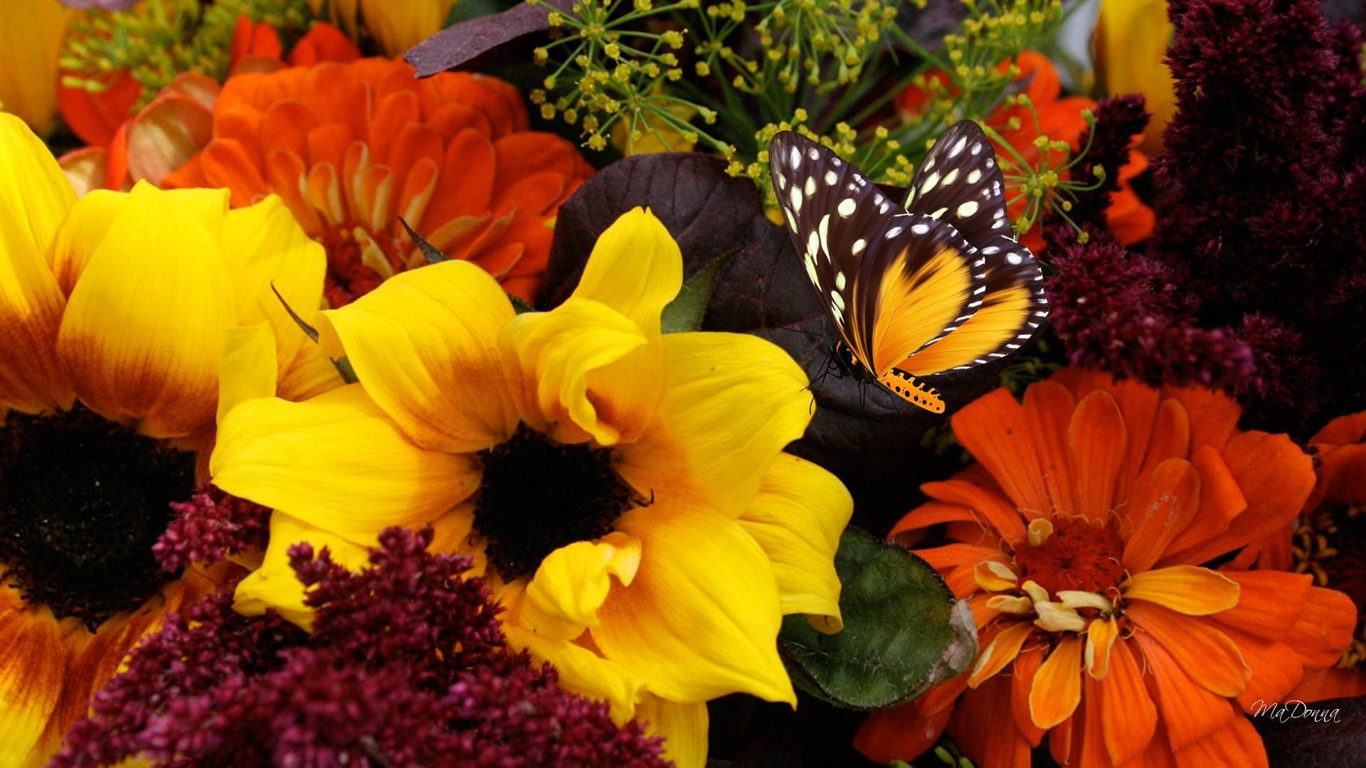 1920x1080 Free download fall flower arrangements wallpaper [1920x1080]
