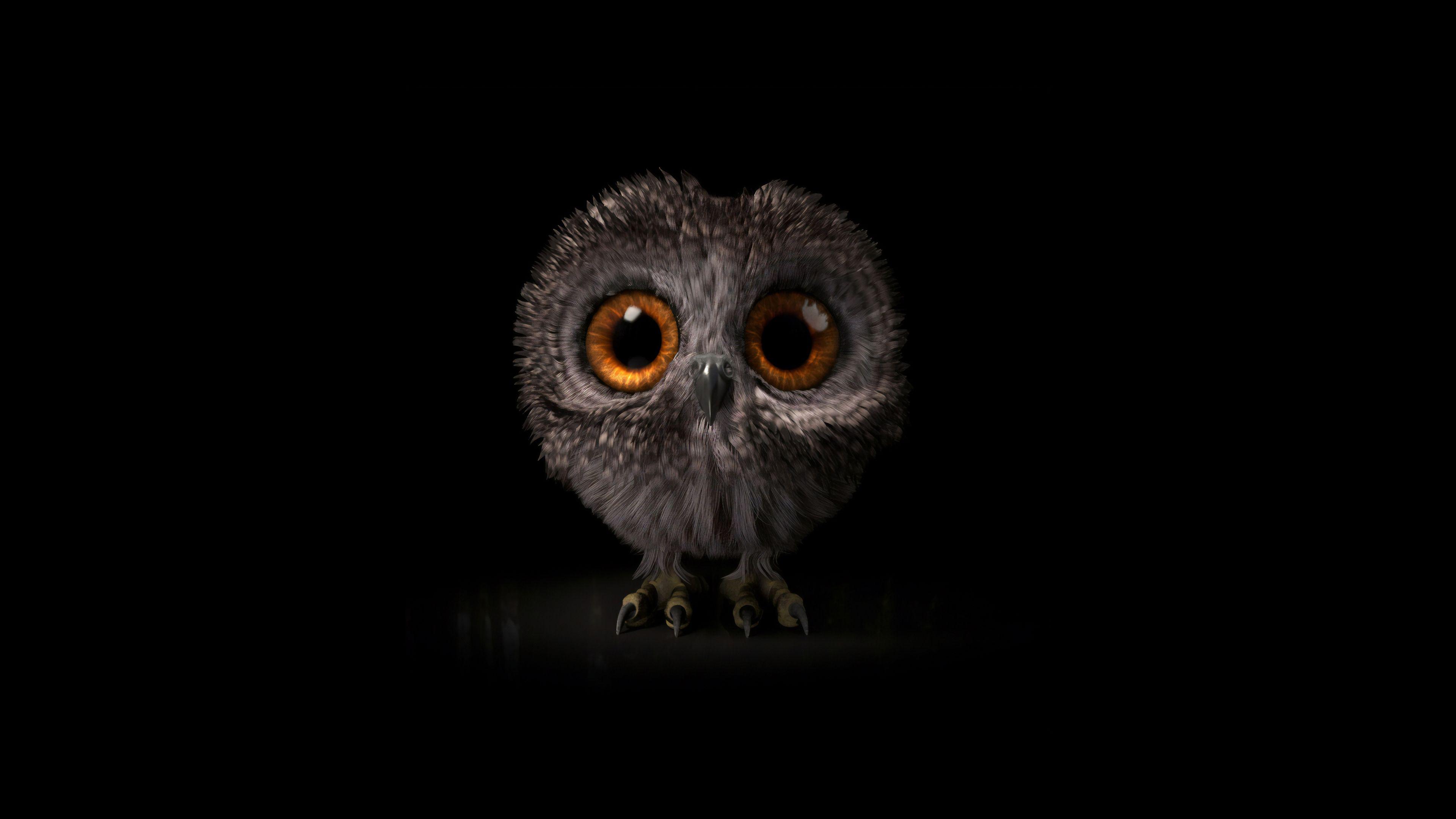 3840x2160 Cute Baby Owl 4k Ultra HD Wallpaper. Background Imagex2160
