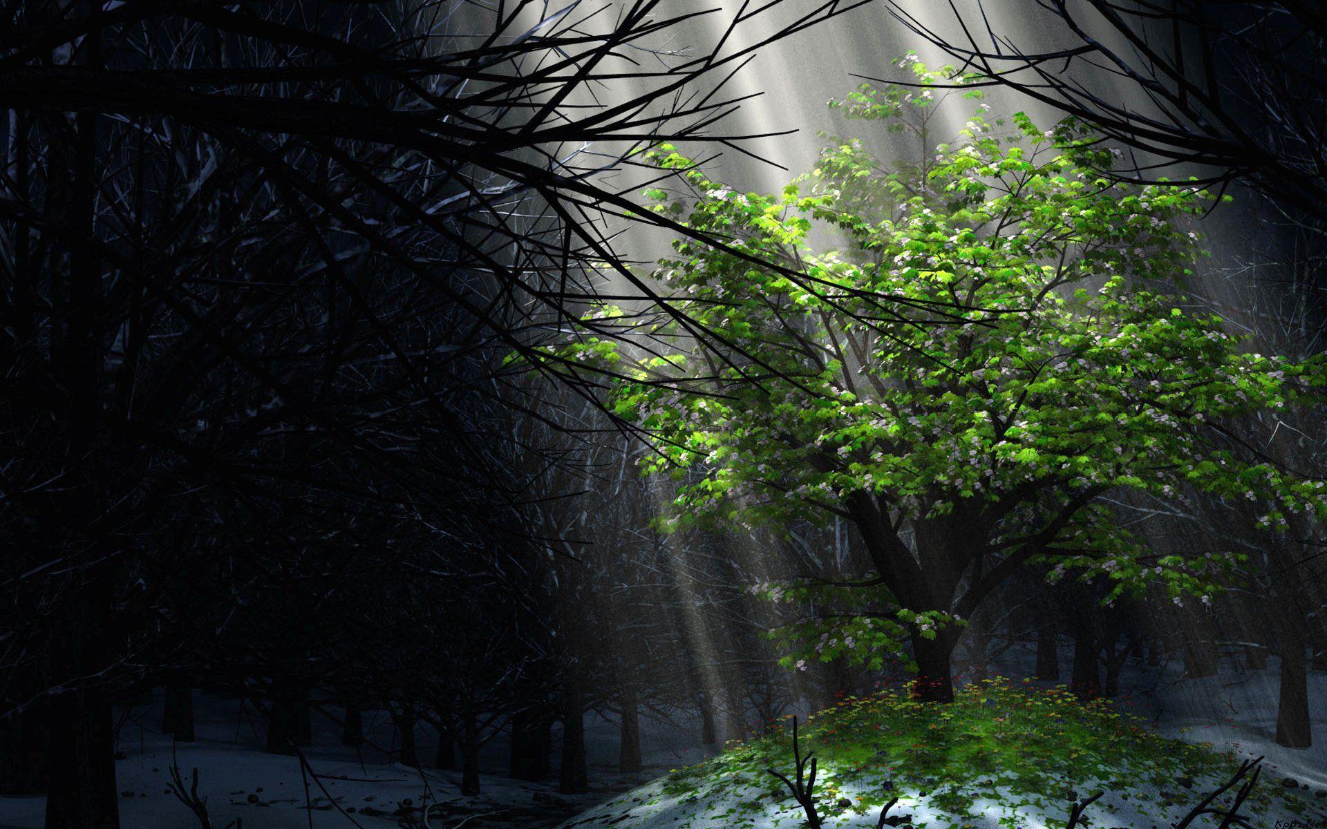 1920x1200 Free download Digital blasphemy wallpaper background creative