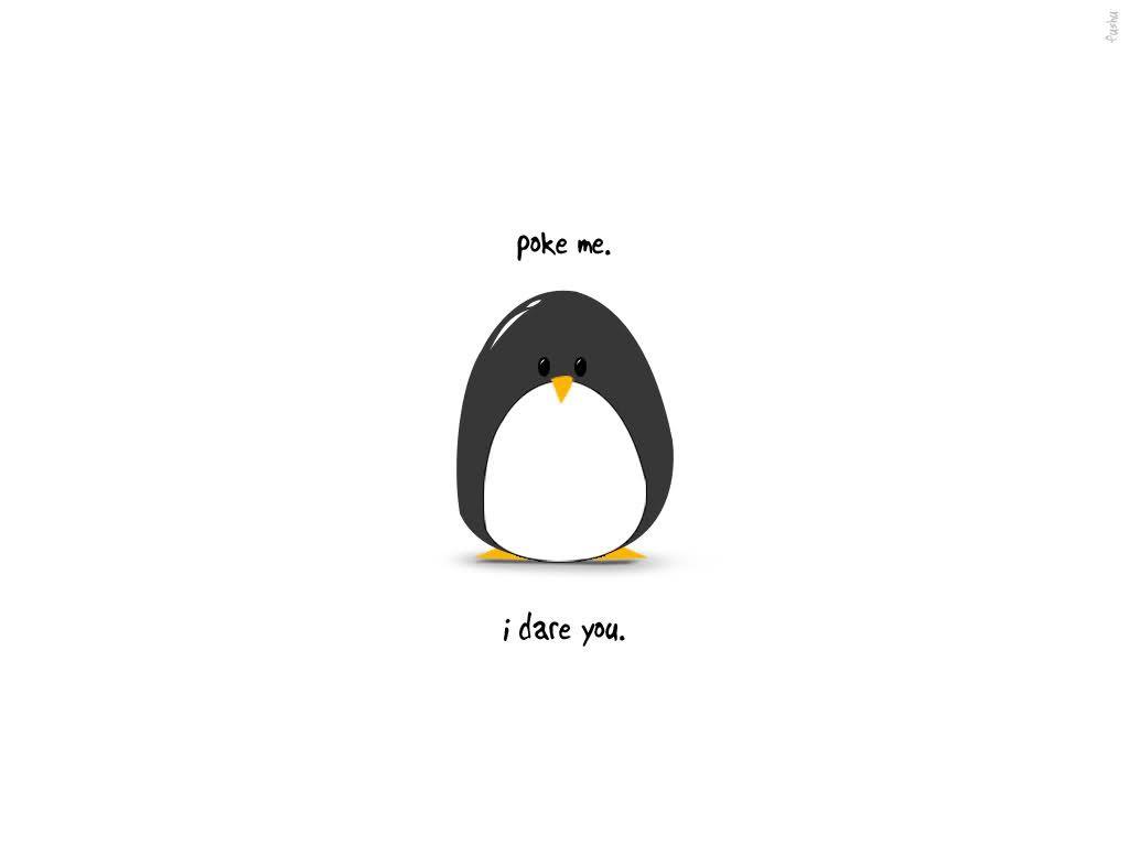 Cute Penguin Wallpapers - Top Free Cute Penguin Backgrounds -  WallpaperAccess