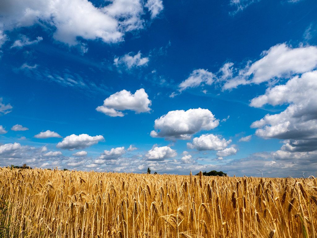 1024x768 Clouds on a Sunny Windy Day
