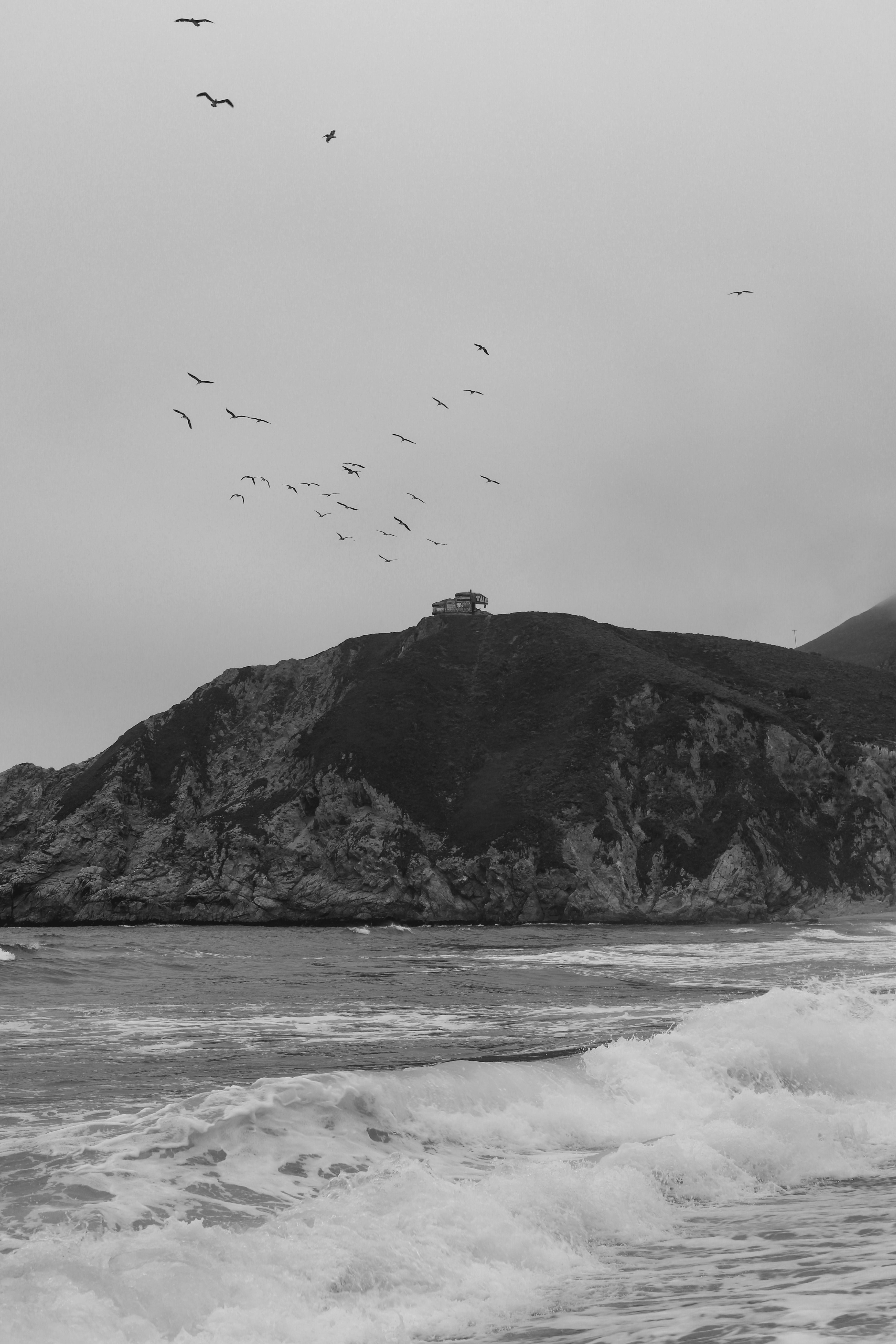 3919x5879 Birds Flying over the Sea on a Windy Day · Free