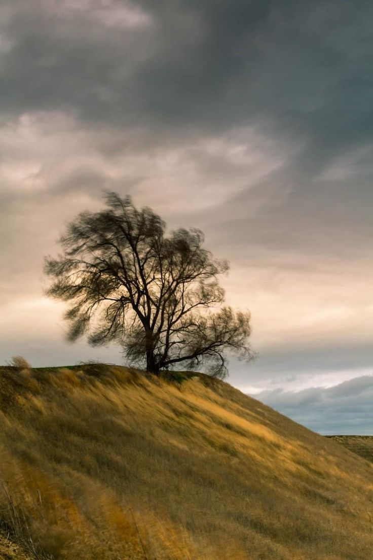736x1104 Windy Day Landscape Photography. Windy day wallpaper, Cloudy and windy, Windy nature
