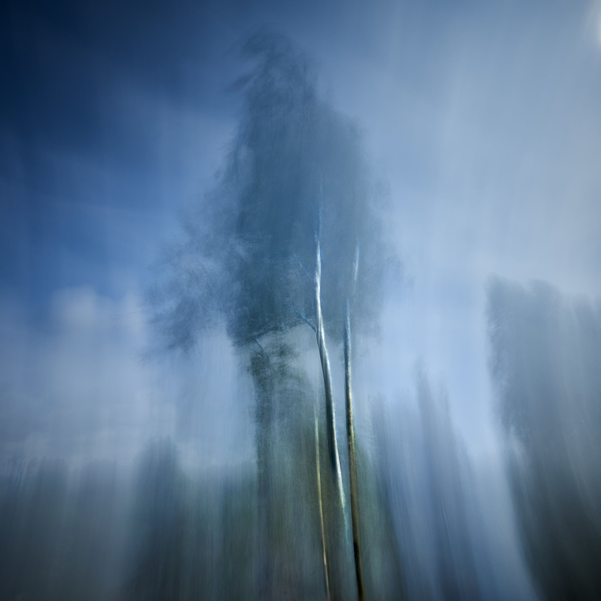 2500x2500 Windy Day. Simephotography