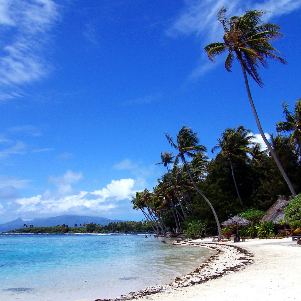 1024x1024 Windy Day On Tropic Beach Wallpaper