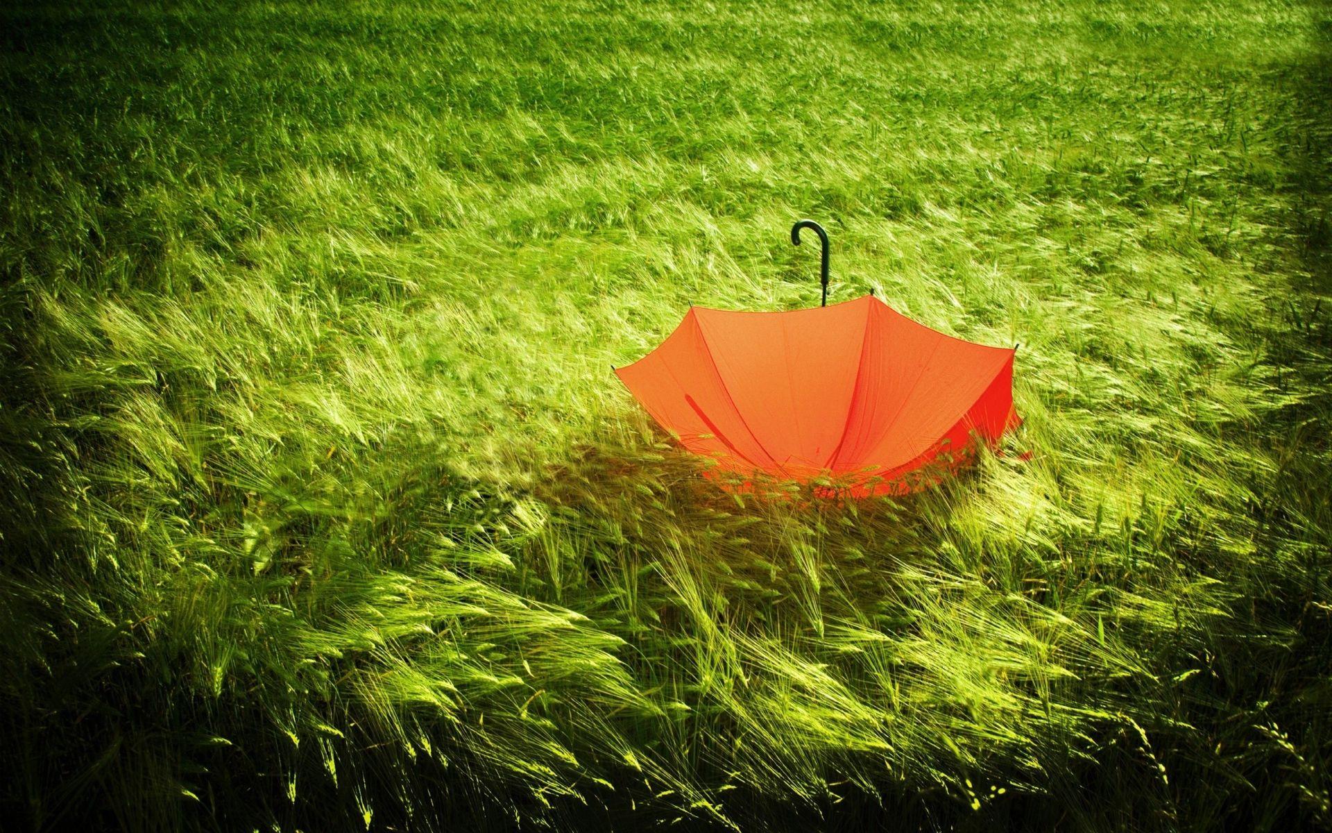 1920x1200 Windy Wallpaper
