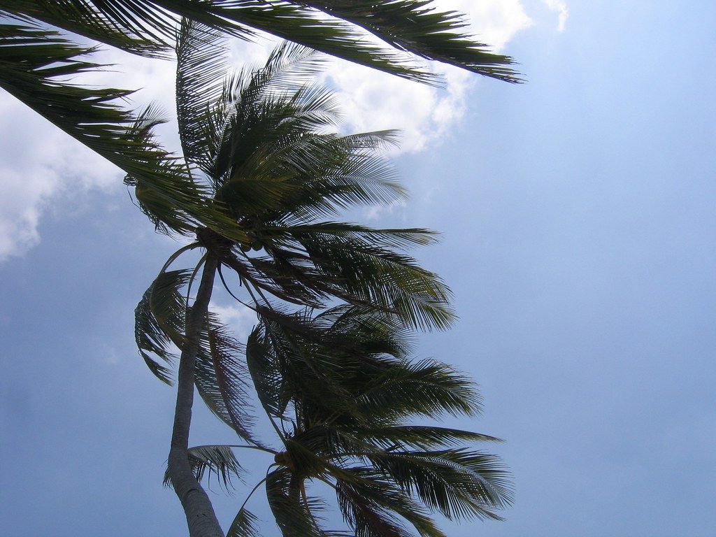 1024x768 it's a windy day, but it's still around 90 degrees