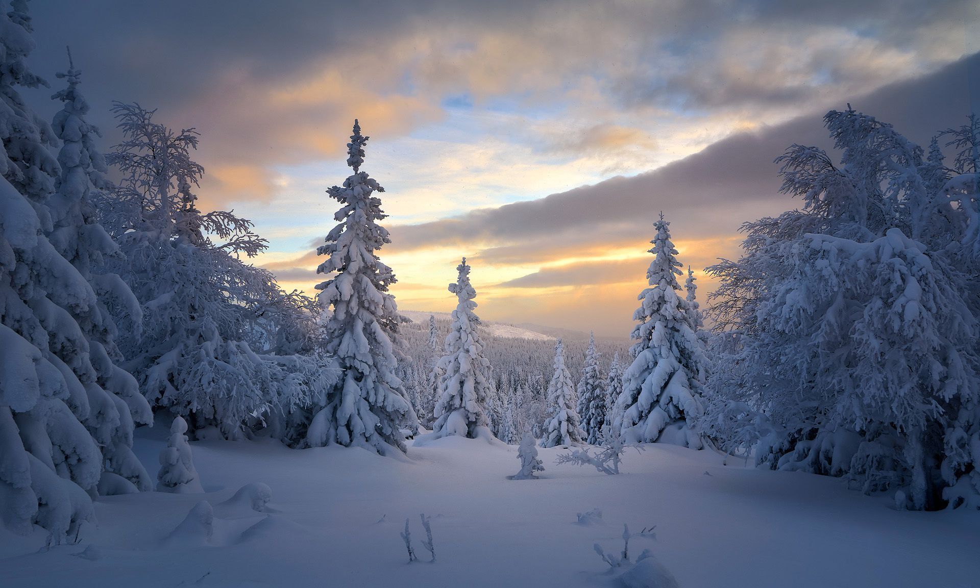1920x1153 Wallpaper winter, forest, snow, trees, ate, Russia, taiga, Sergey Mezhin for mobile and desktop, section пейзажи, resolution 1920x1153