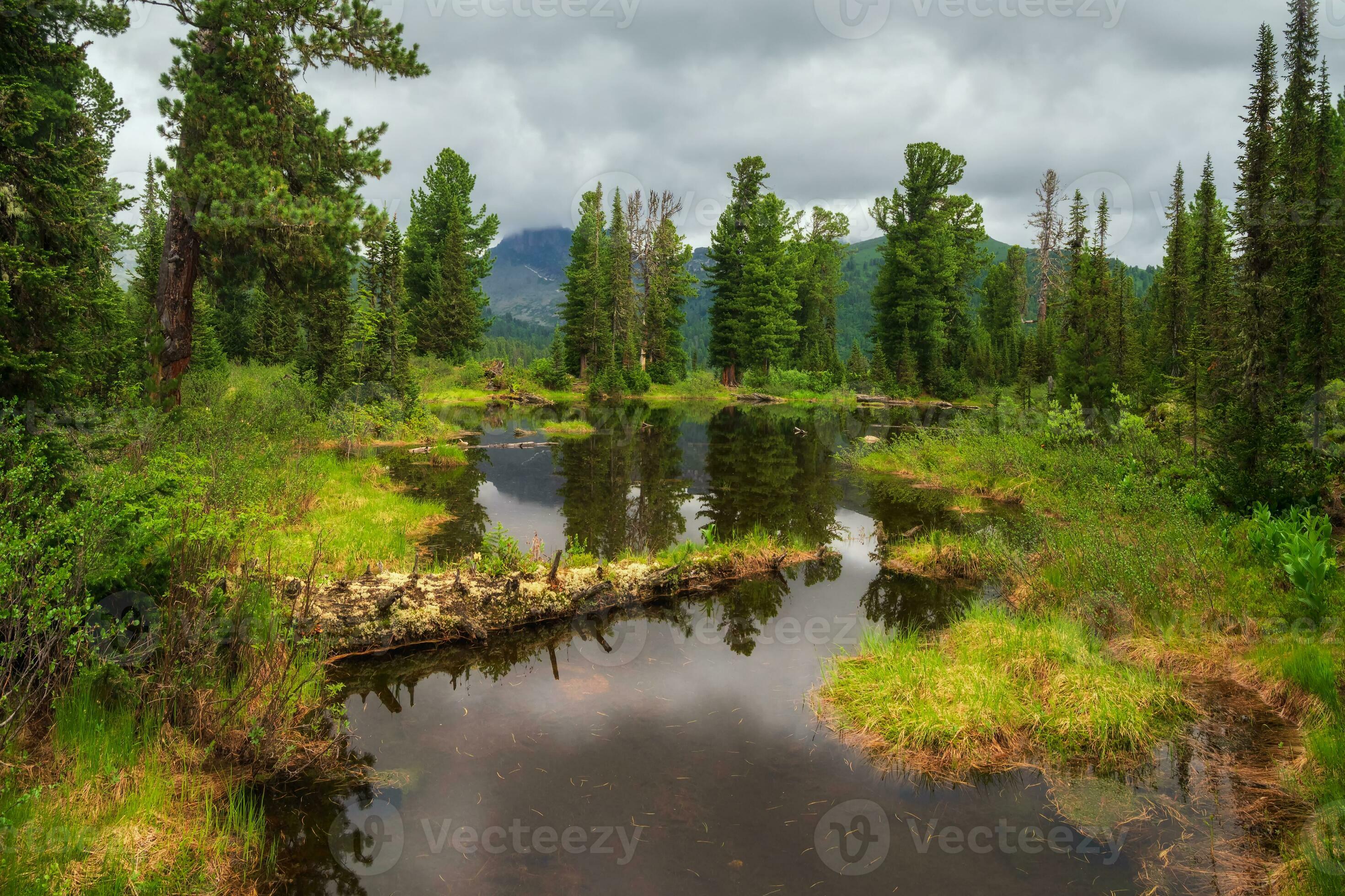 2941x1960 Mountain forest pond with fallen trees at the lakeshore. Lake in Ergaki on an summer morning among the taiga rocks with dramatic sky in the warm sun and trees. Mountain sunny landscape