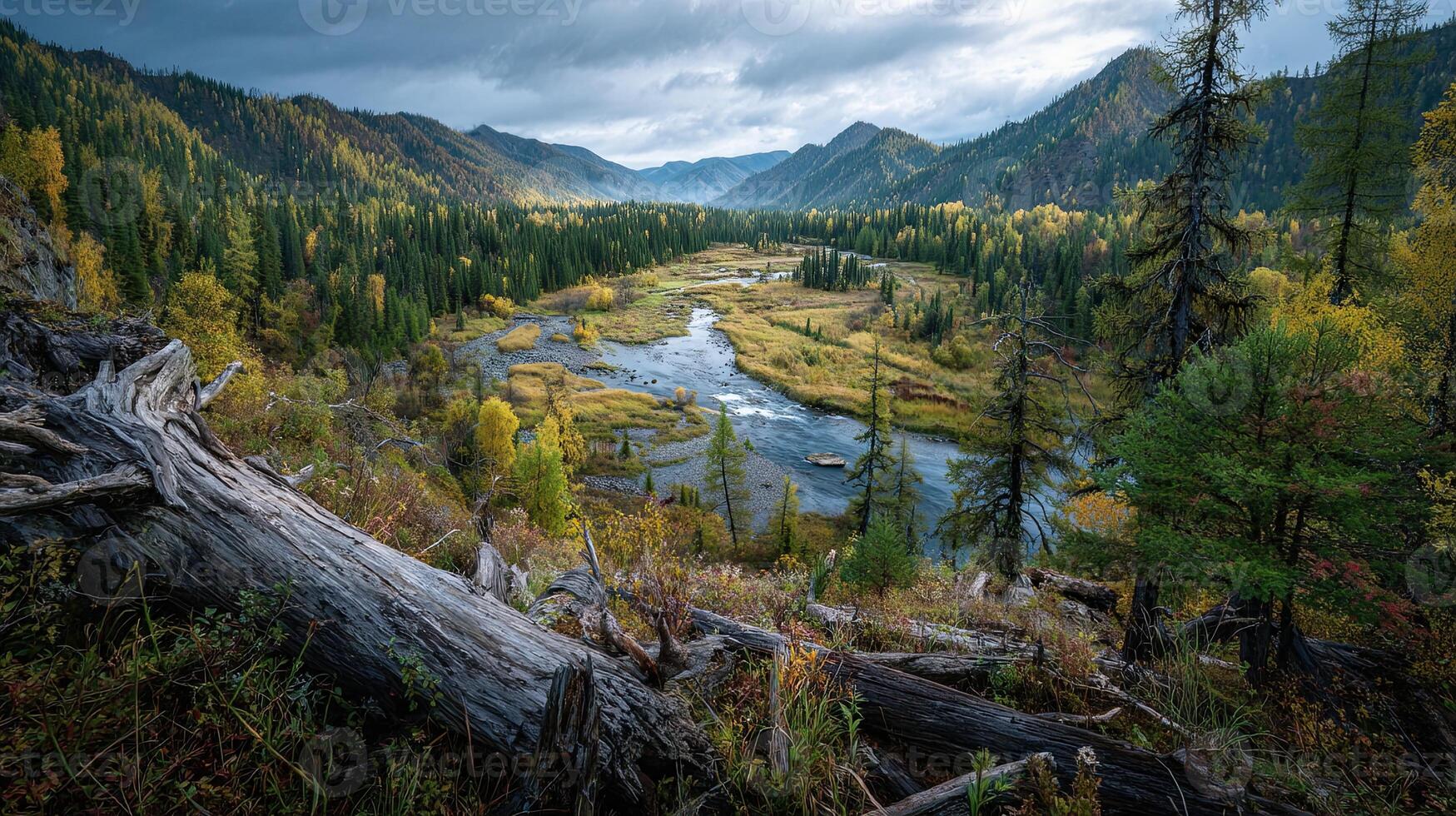 1749x980 Landscape Siberian taiga taiga valley with winding river fallen logs siberian autumn