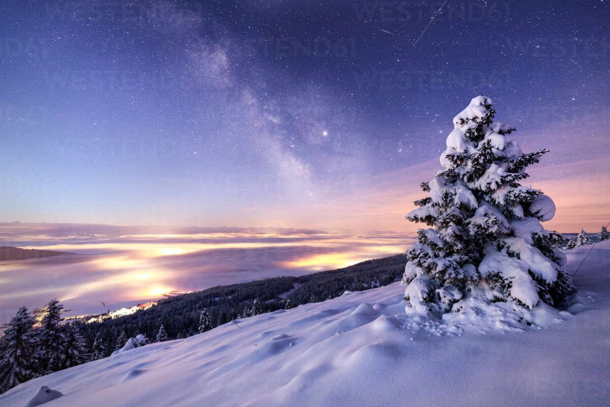 1200x800 Santa Claus' Forest: The Taiga That Protects the Planet