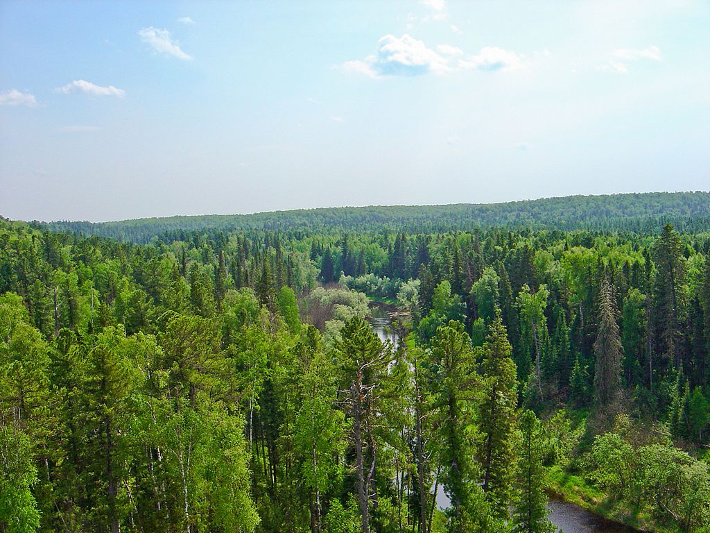 1024x768 Creating Taiga (Russia), Boreal Forest Taïga (Russie), Forêt Boré Coordination Platform