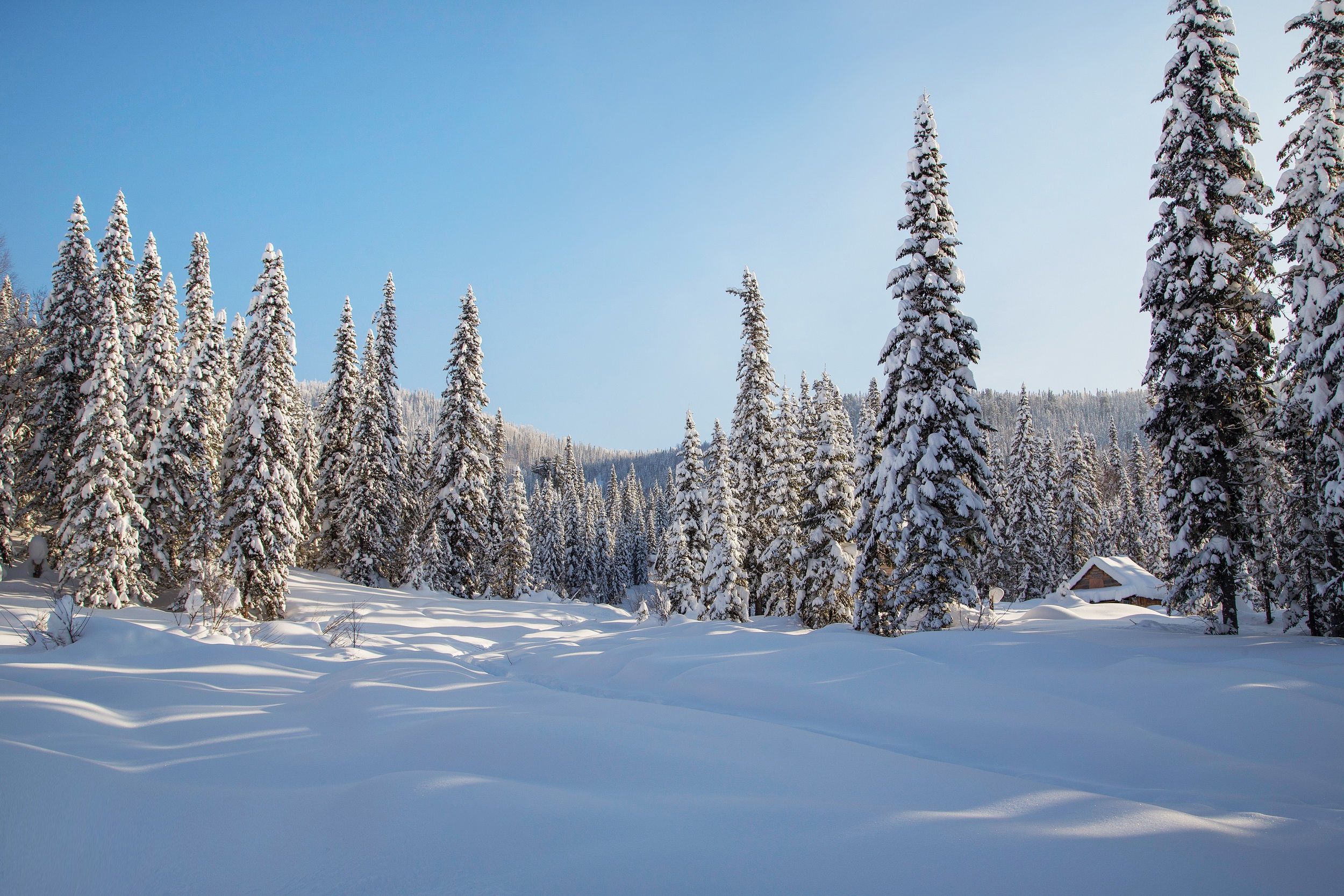 2500x1667 Wallpaper winter, forest, snow, trees, hut, ate, the snow, Russia for mobile and desktop, section пейзажи, resolution 2500x1667