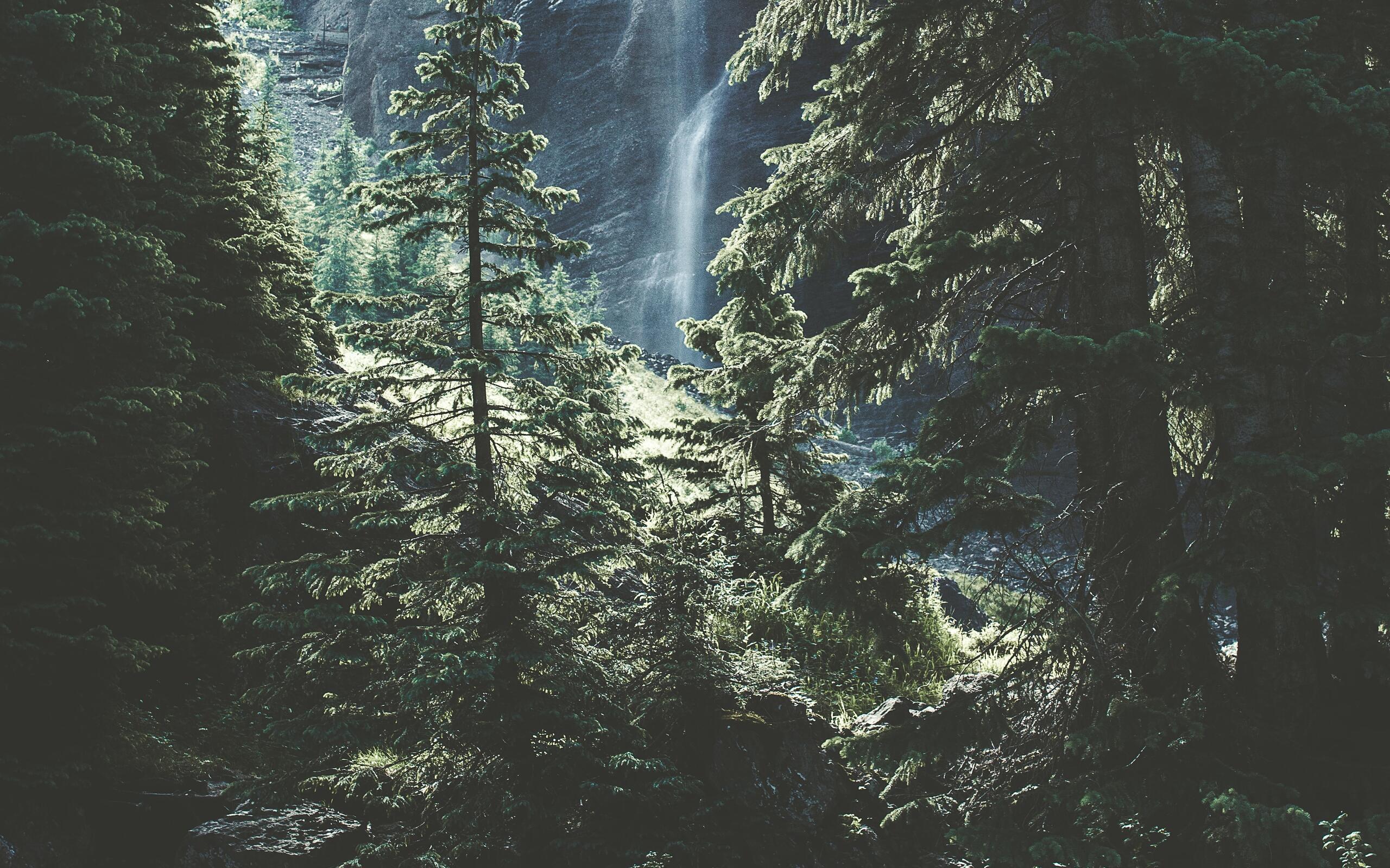 2560x1600 A waterfall far away in the forest · 2560x1600 free photo from ya1668773354463 and wallpaper