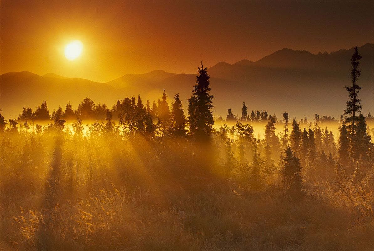 1194x800 Morning Rays. Carl Johnson Photography