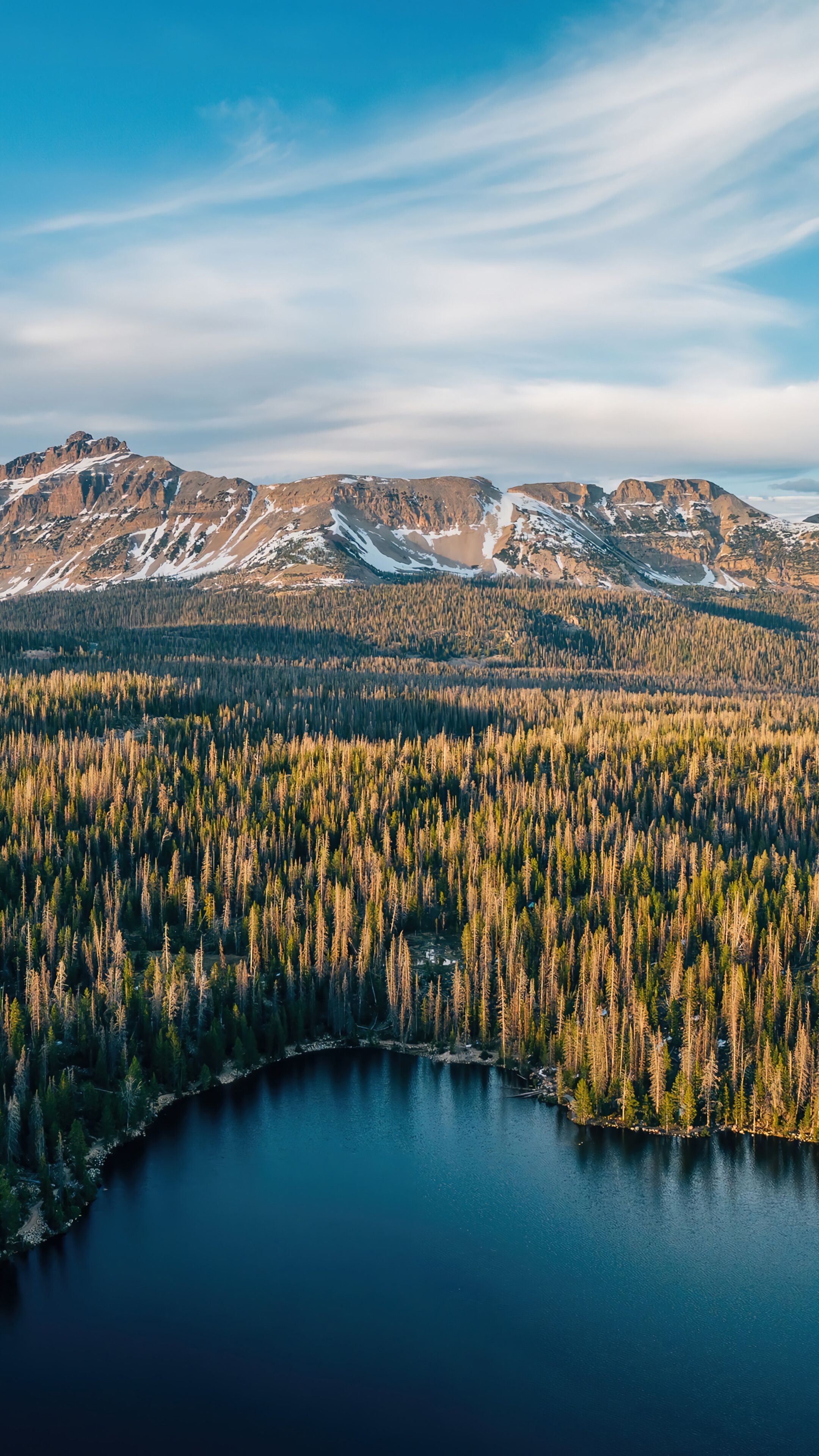 2160x3840 Forest Aerial View Mountain Nature Scenery Wallpaper 4K HD PC f