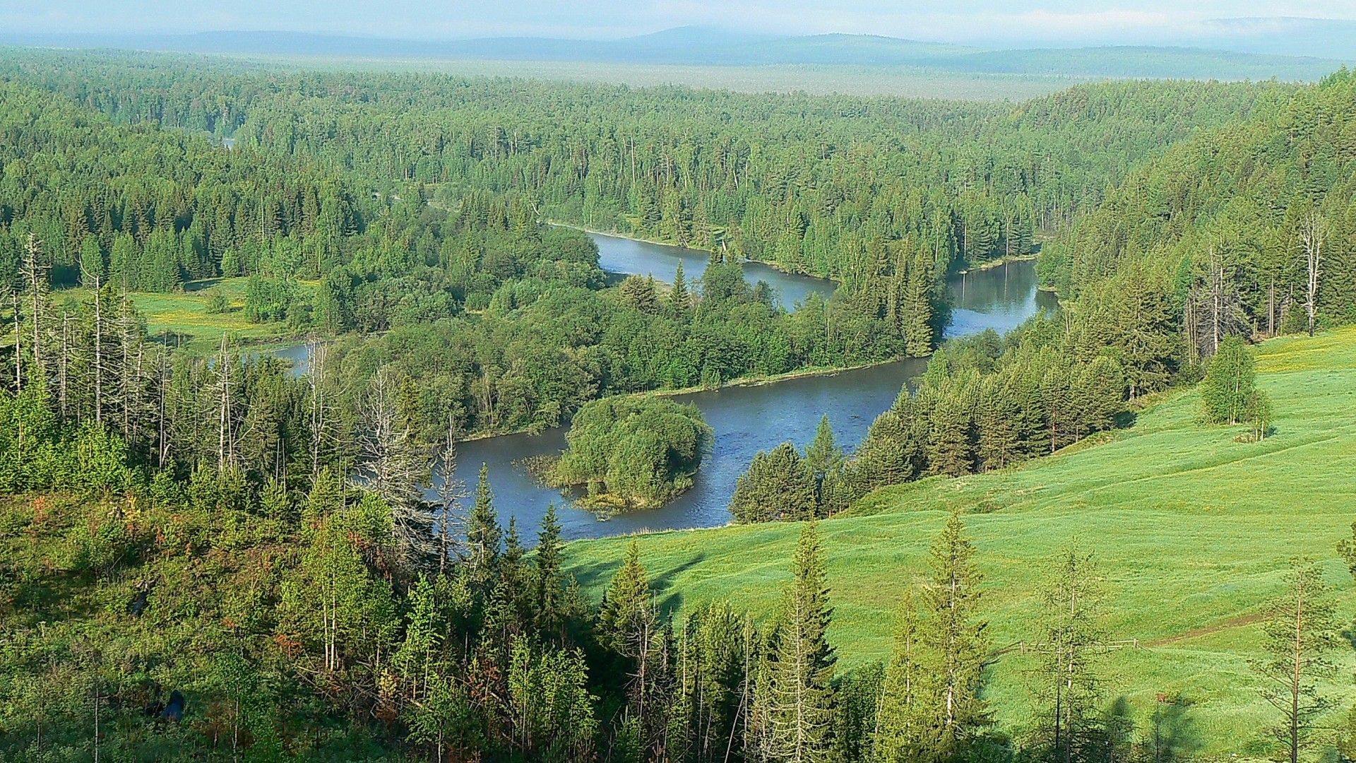1920x1080 The Taiga: ecosystem, boundary, most common tree species