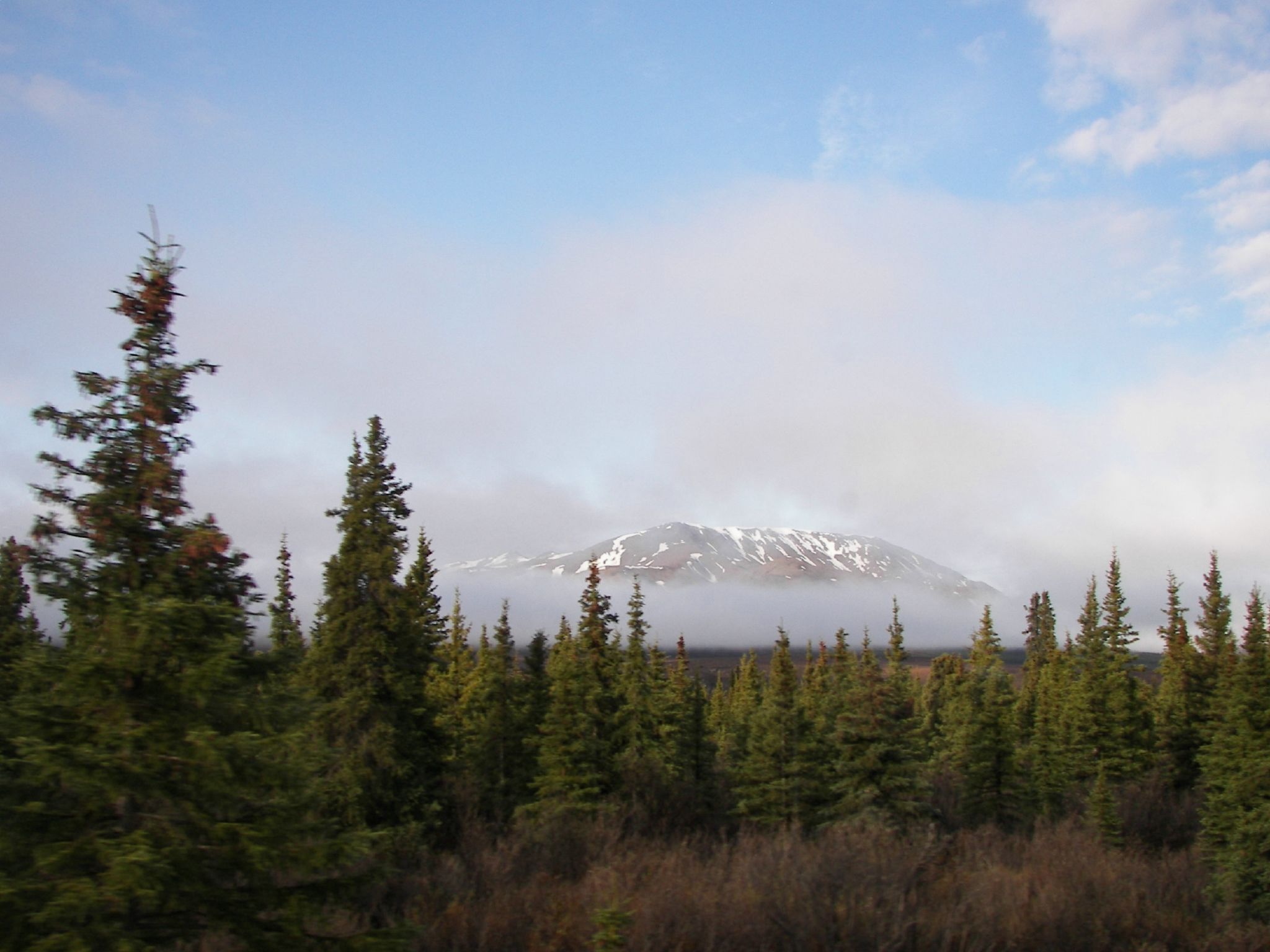 2048x1536 Taiga of North America