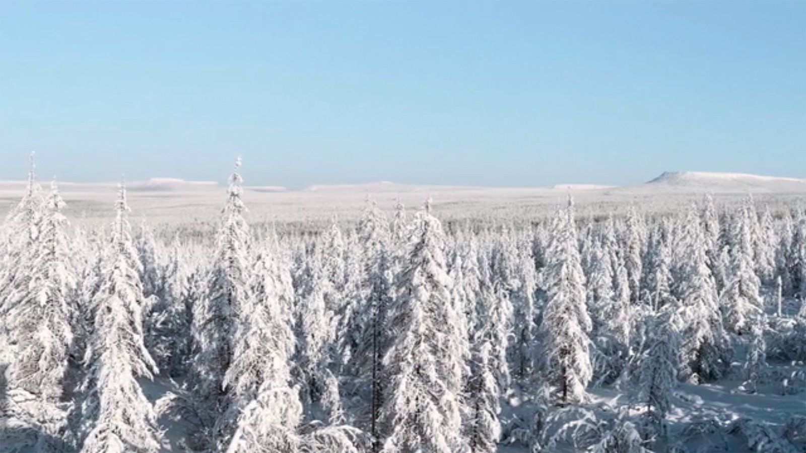1600x900 Hunting In The Russian Taiga