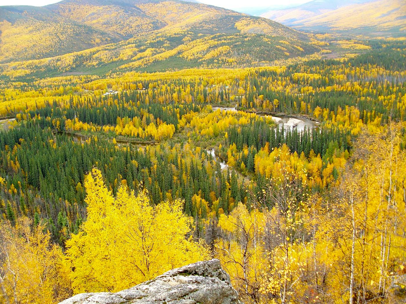 1400x1050 Greater Alaska Taiga & Tundra (NA4)