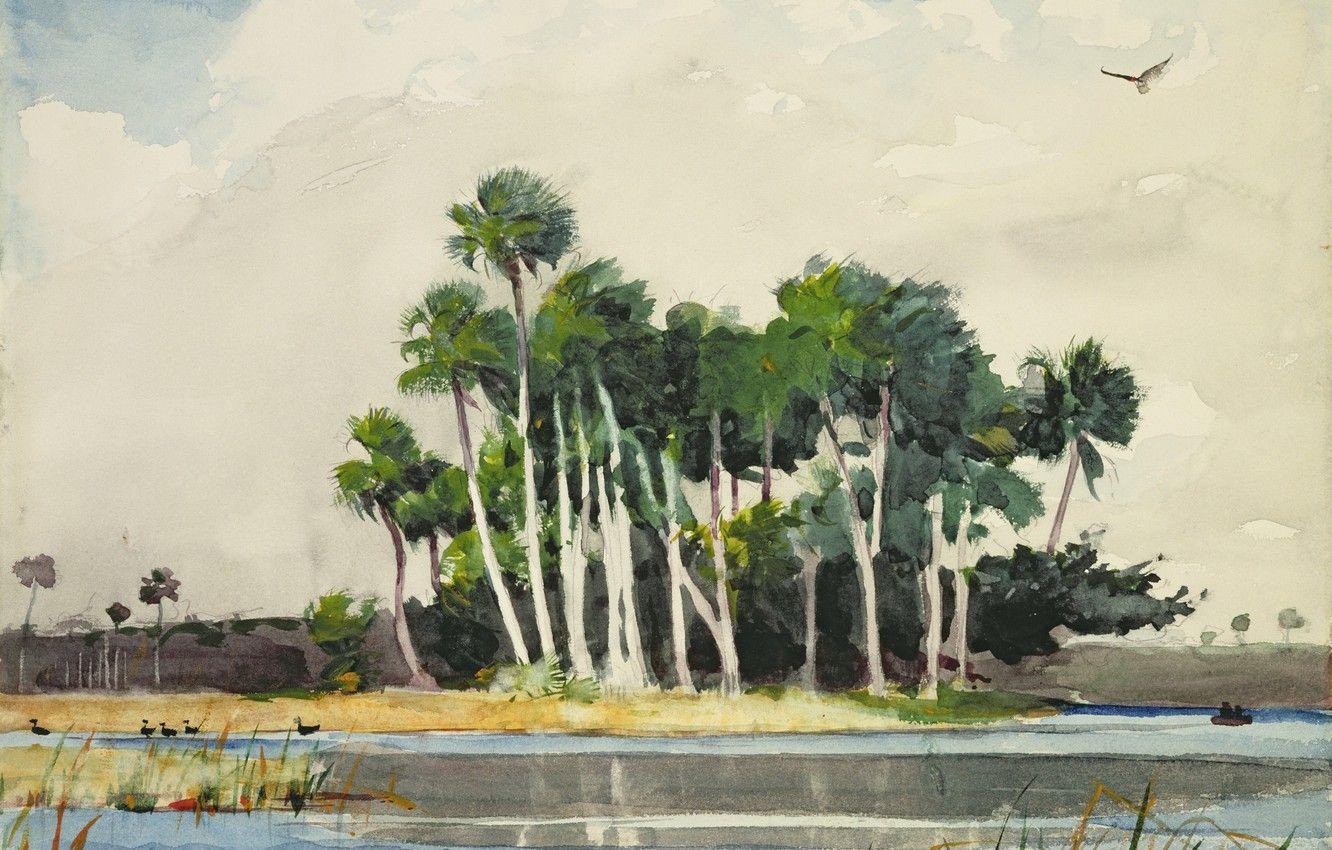 1332x850 Wallpaper the sky, trees, landscape, birds, river, duck, watercolor, winslow homer image for desktop, section живопись