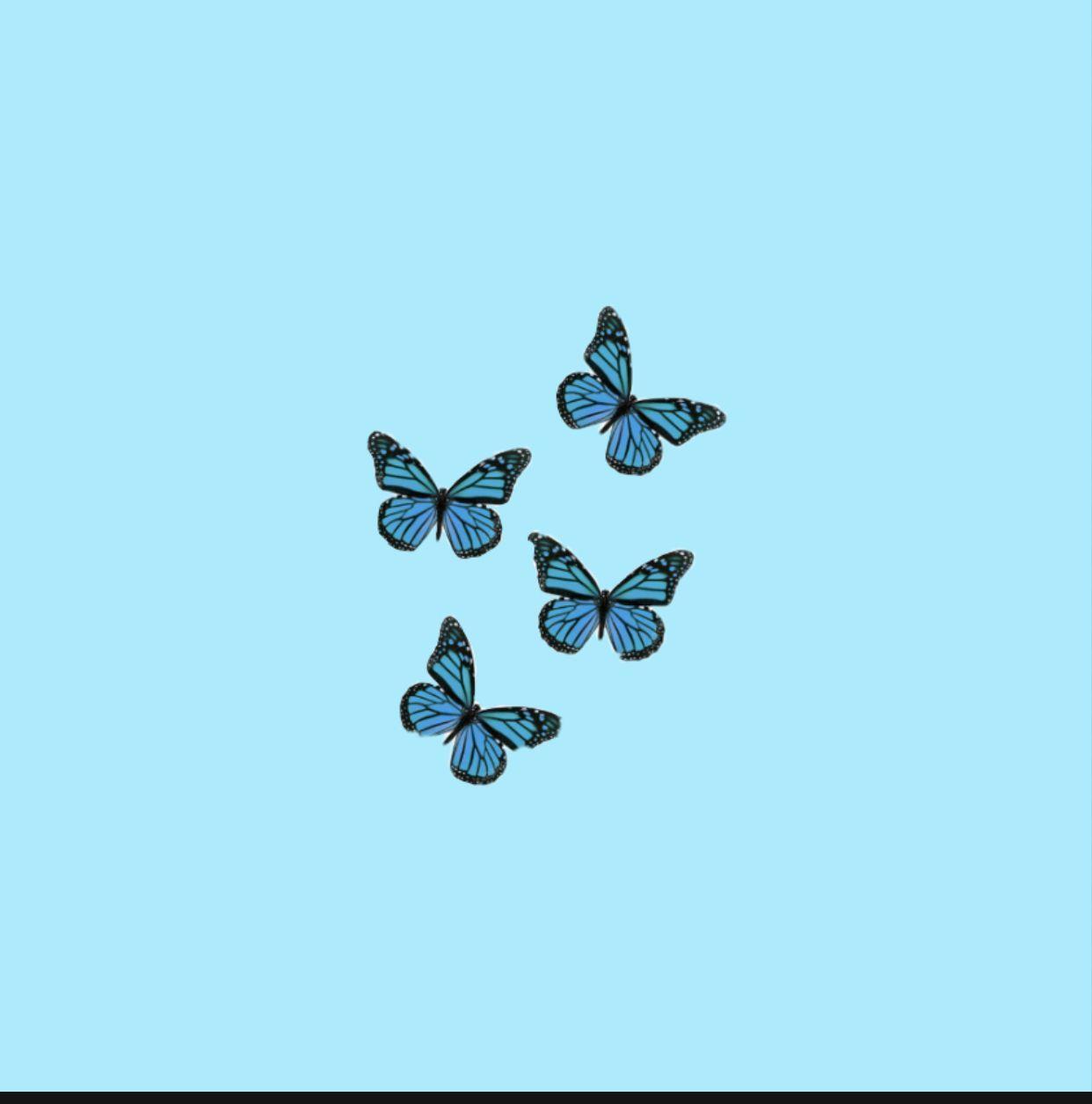 blue butterfly wallpaper  video Dailymotion