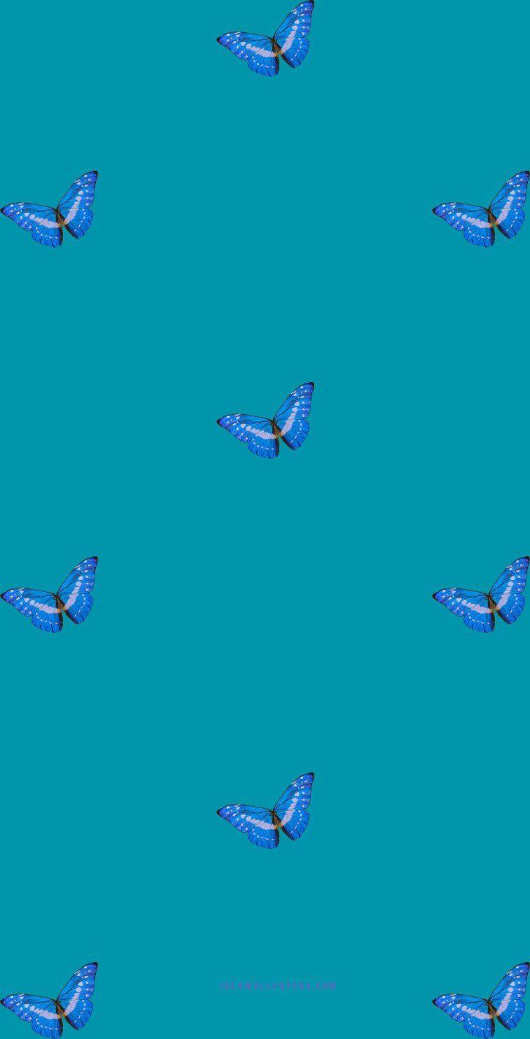 757x1485 Con bướm xanh trên nền màu xanh mòng két - Ý tưởng Hình nền, iPhone