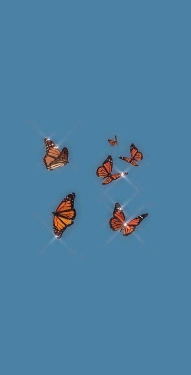 Hình nền thẩm mỹ bướm 652x1280
