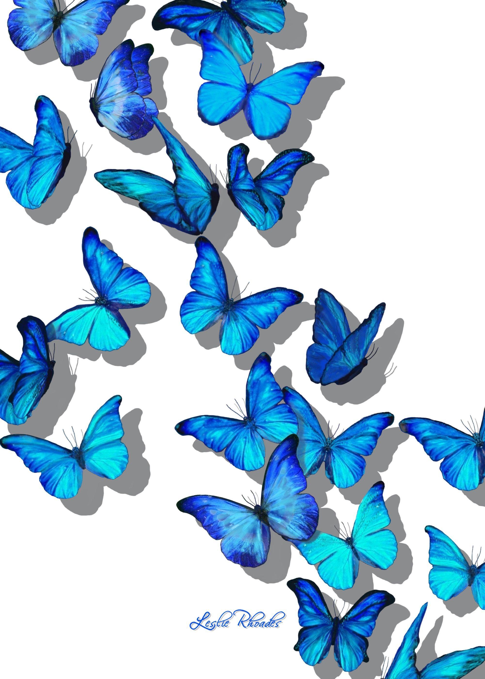 Blue Butterflies Wallpapers - Top Free Blue Butterflies Backgrounds -  WallpaperAccess