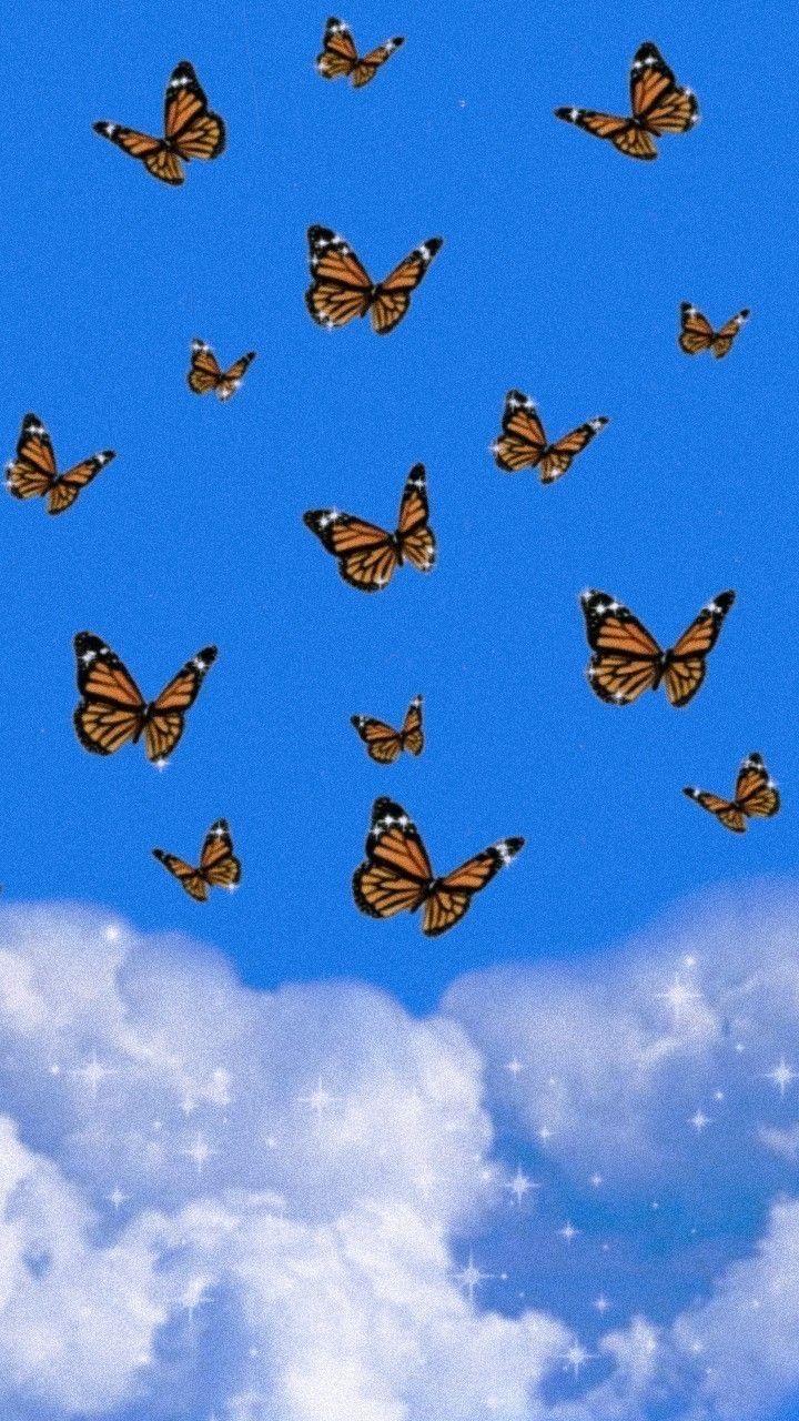 Free download Blue Butterfly Wallpapers Aesthetic  PixelsTalkNet