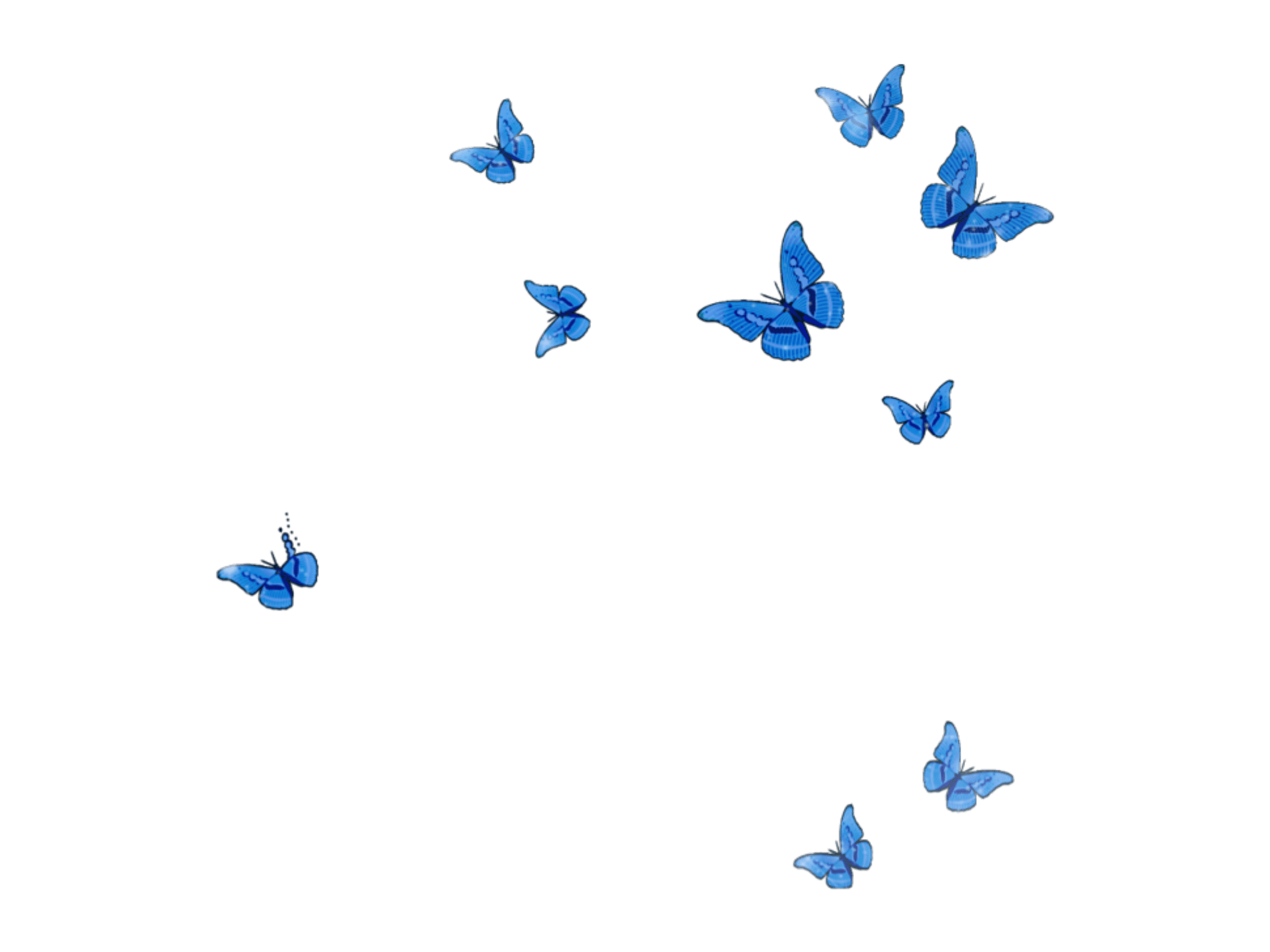 Hình nền thẩm mỹ máy tính xách tay hình bướm 2048x1536