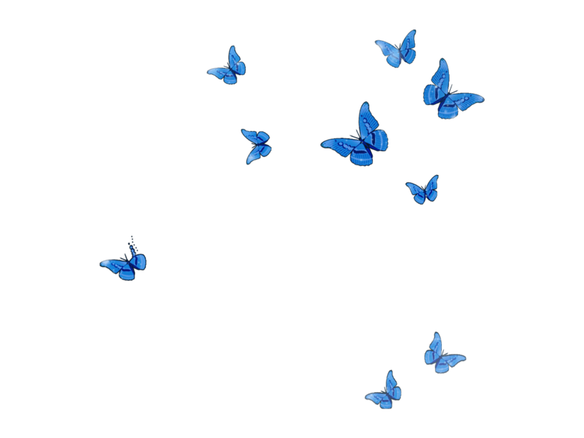 Butterfly wallpaper aesthetic  Blue butterfly wallpaper background designs