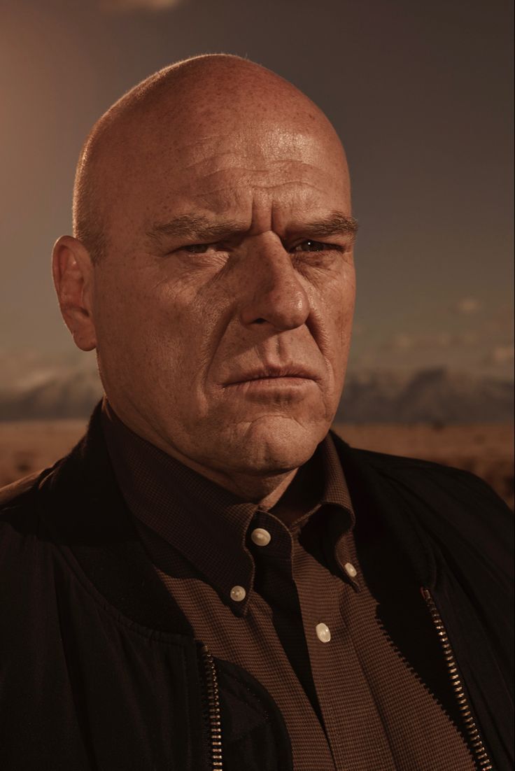 736x1102 Hank Schrader