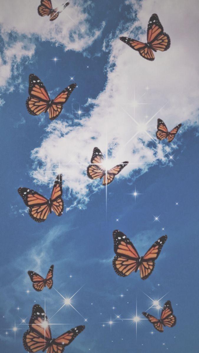 Aesthetic monarch butterflies Wallpapers Download  MobCup