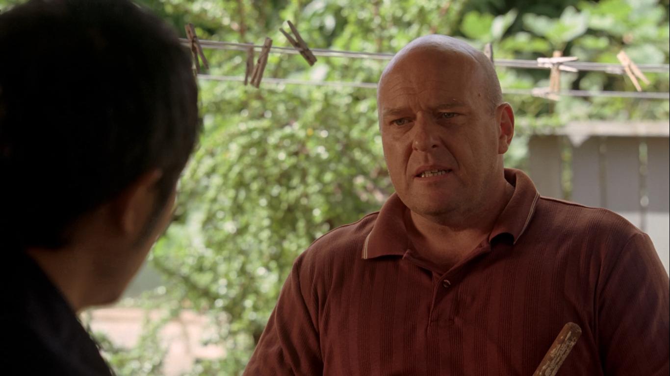 1366x768 just saw Hank from Breaking Bad in episode 5x lol