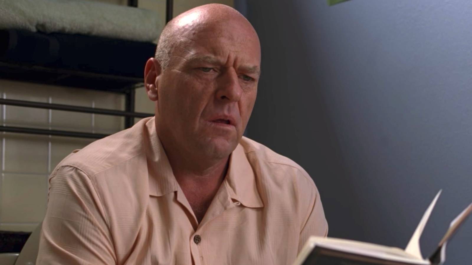 1600x900 Breaking Bad: 5 Most Heroic Things Hank Ever Did (& 5 Worst)
