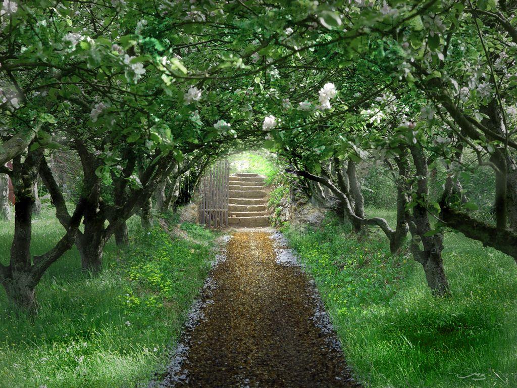 1024x768 Secret garden wallpaper