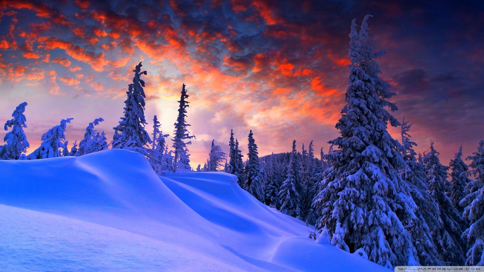 1920x1080 Christmas 4k Wallpaper Inspirational Winter Christmas 4k HD Desktop Wallpaper for 4k Ultra HD Tv • Wide & Ultra Widescreen Displays This Month of The Hudson