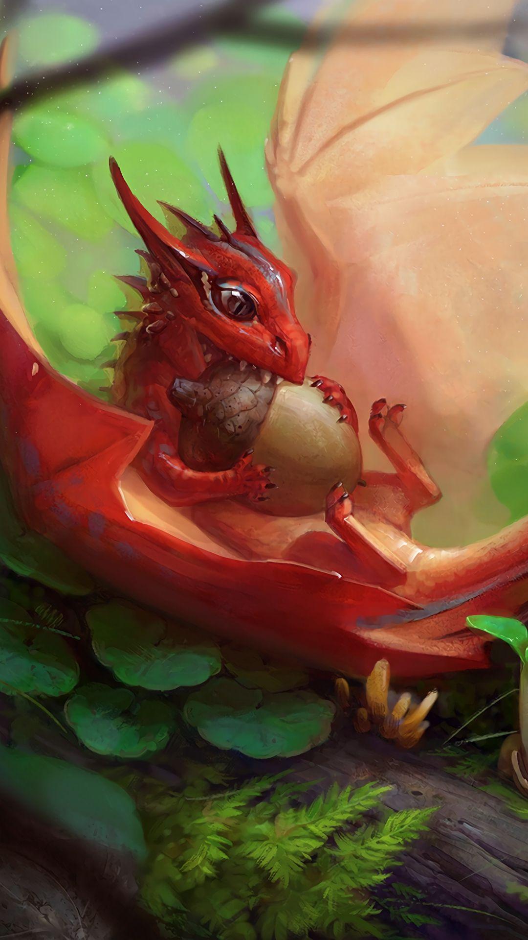 1080x1920 acorn art dragon Wallpaper. Baby dragon art, Dragon