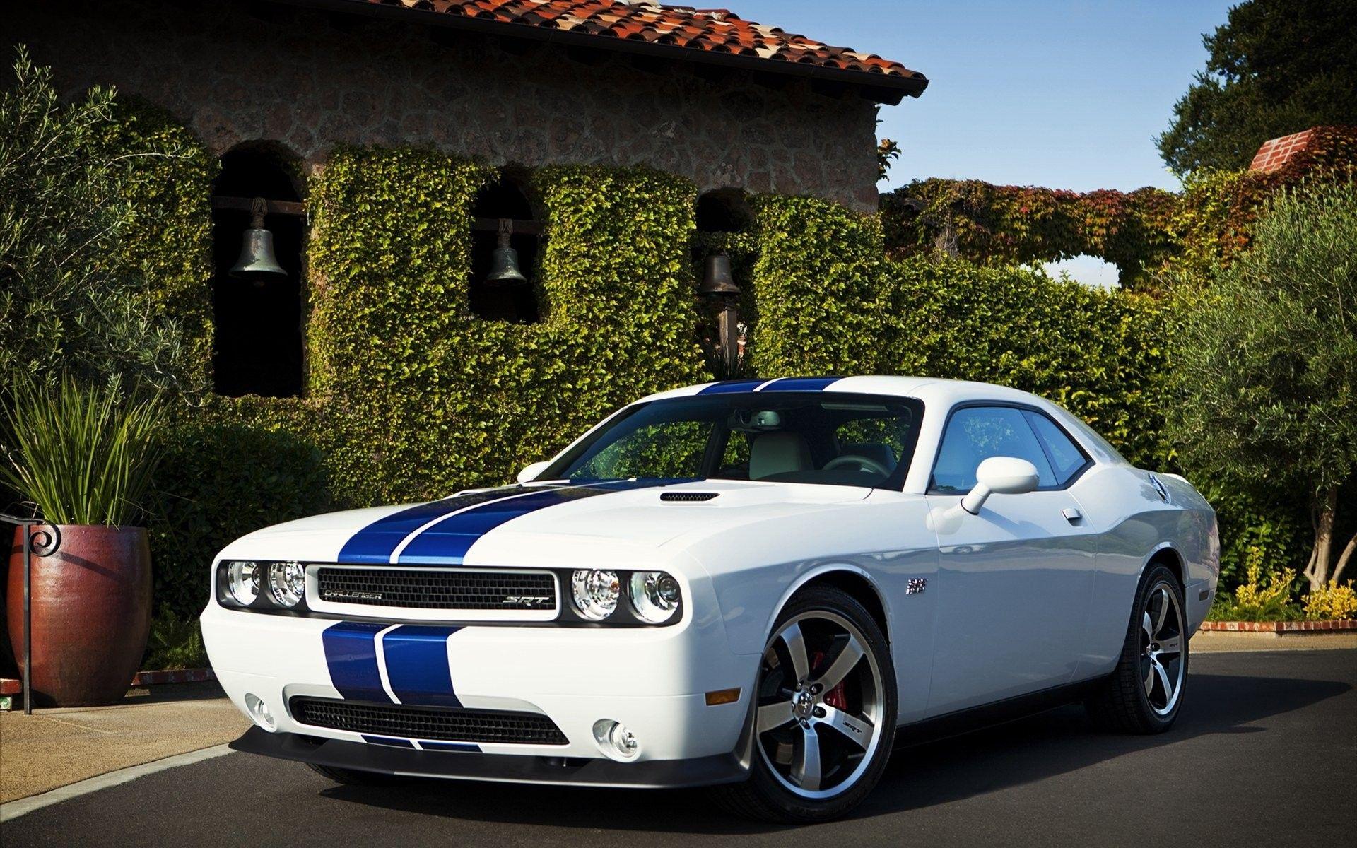 1920x1200 white, Cars, Dodge, Challenger, Racing, Stripes, Muscle, Car