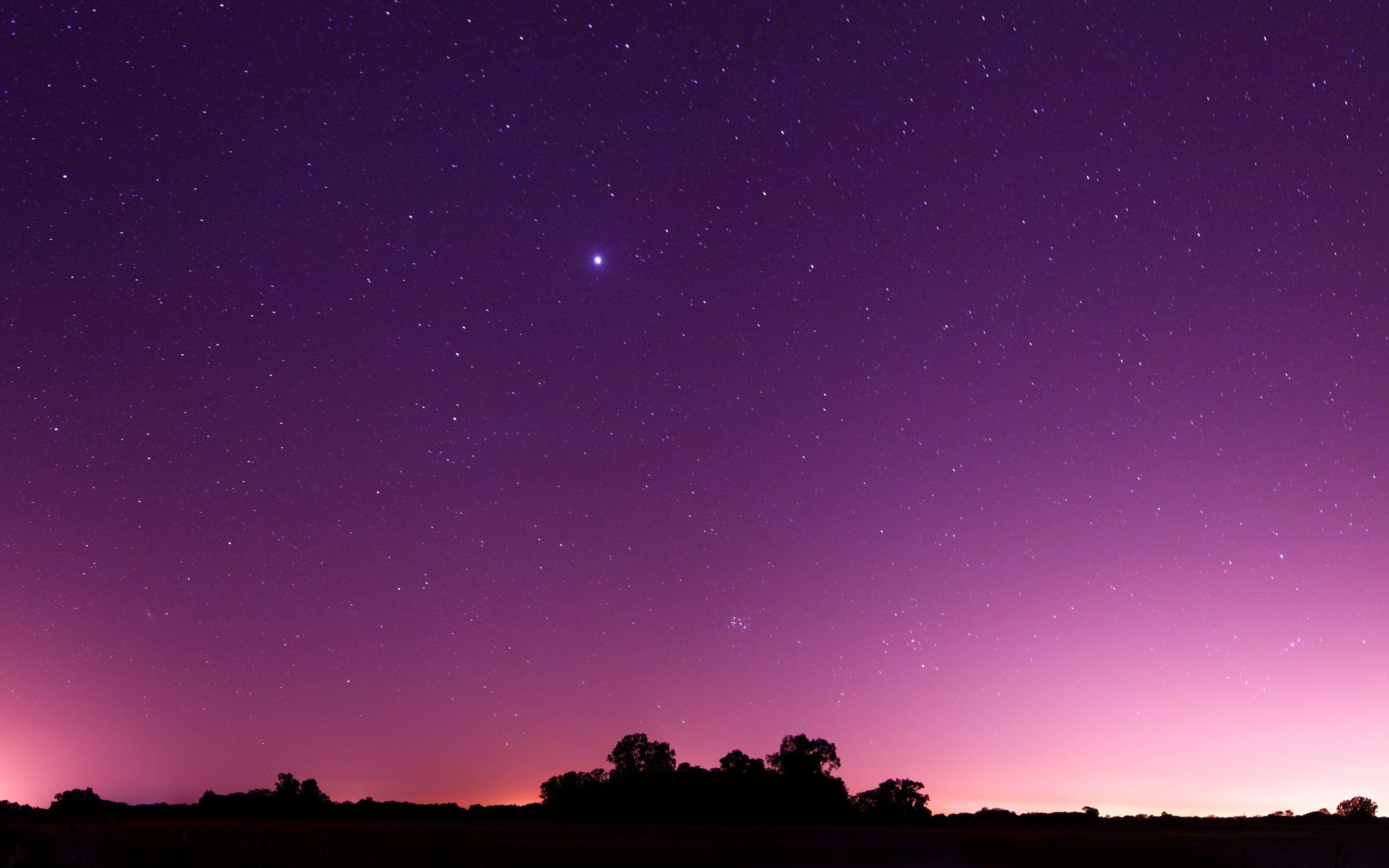 2560x1600 Royal Purple Wallpaper